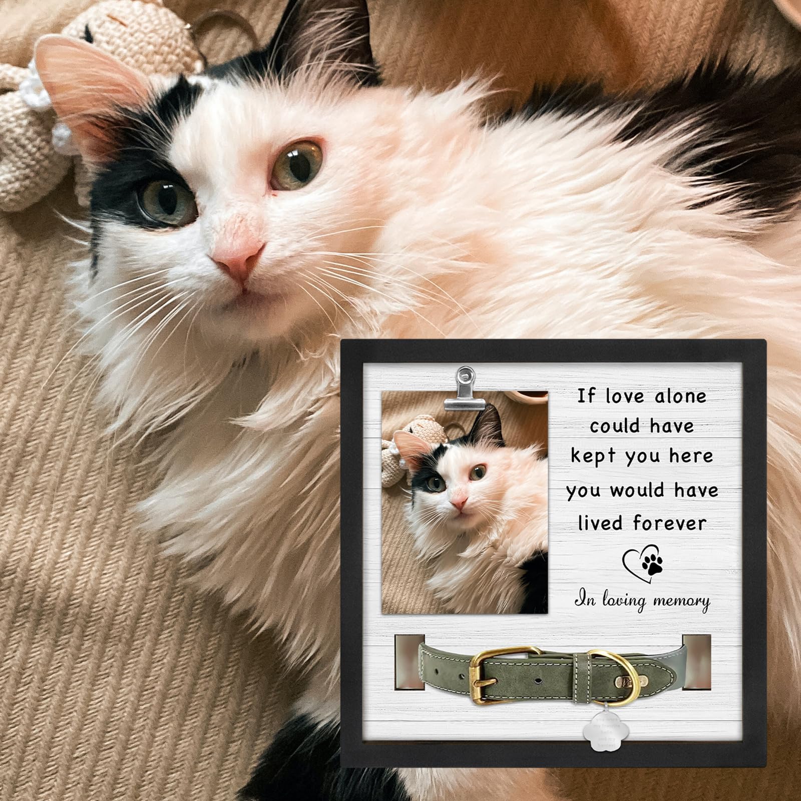 PureFly cat memorial gift frame for respectful remembrance and display