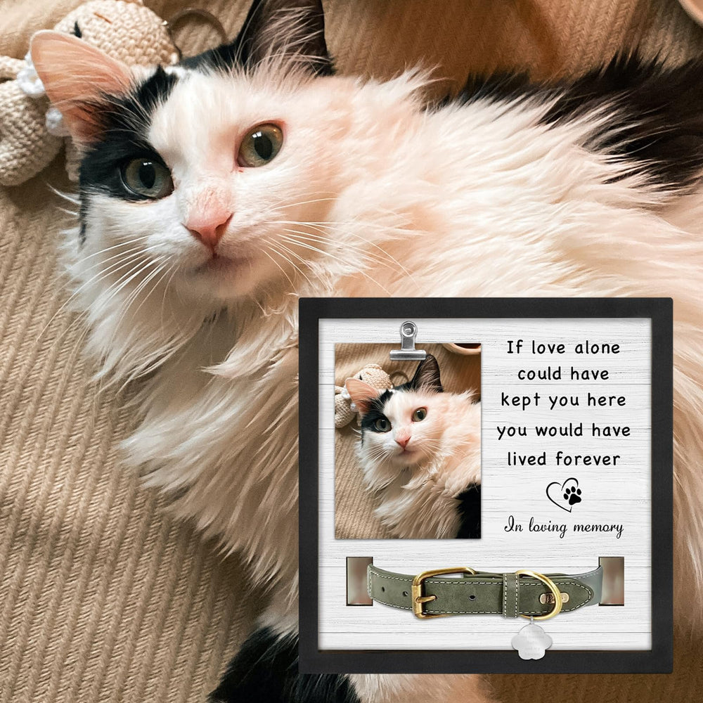 PureFly cat memorial gift frame for respectful remembrance and display