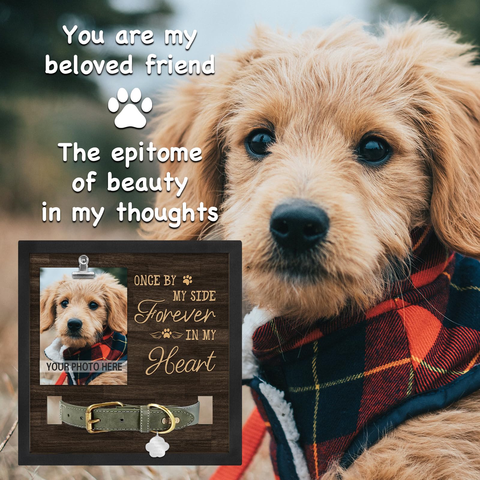 PureFly 9x9 inch memorial frame for cherished pet photos.