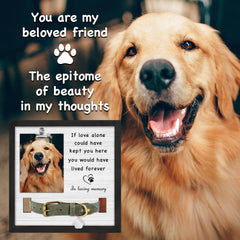 PureFly dog memorial frame with collar mount for cherished keepsakes