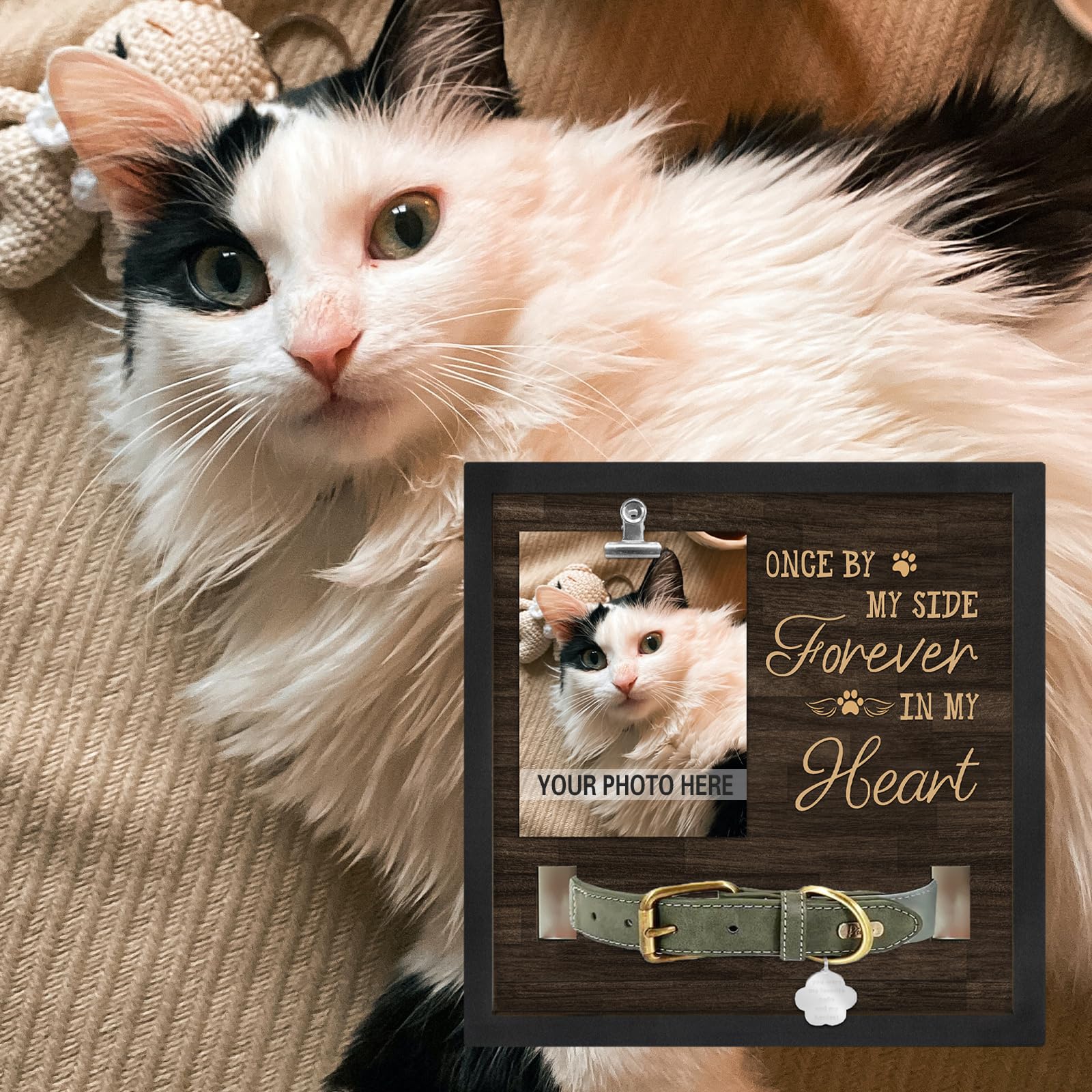 PureFly pet memorial frame honors a dog or cat’s memory with care.