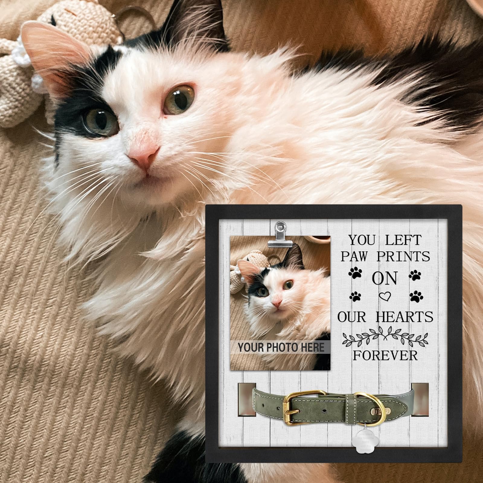 PUREFLY 9x9 frame fits dog or cat portraits for display