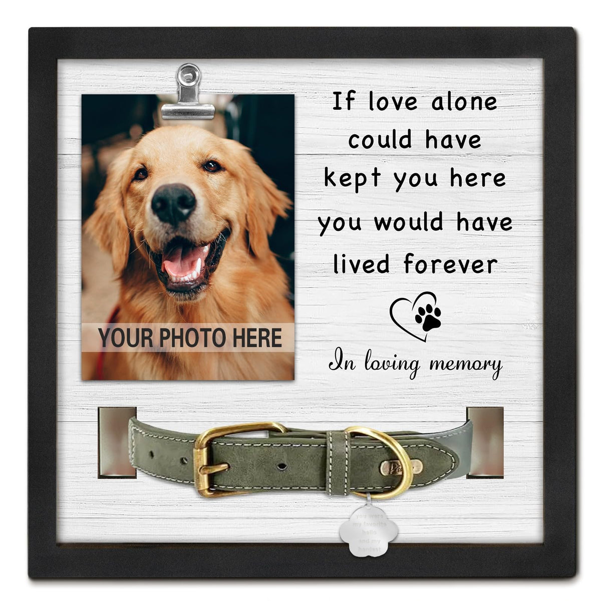 PureFly pet memorial frame with collar mount for dignified remembrance