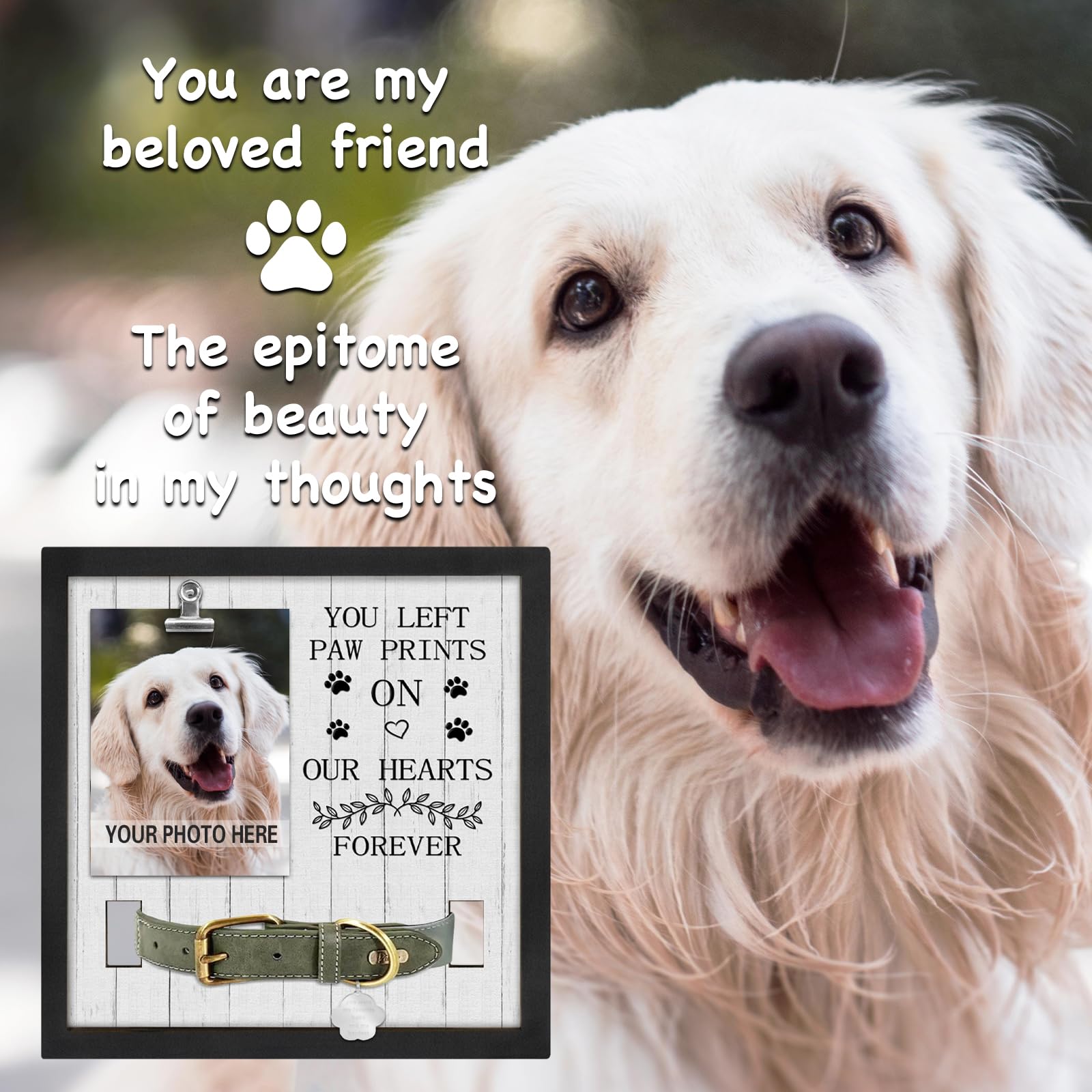 PUREFLY memorial frame collar mount displaying your pet's collar with care