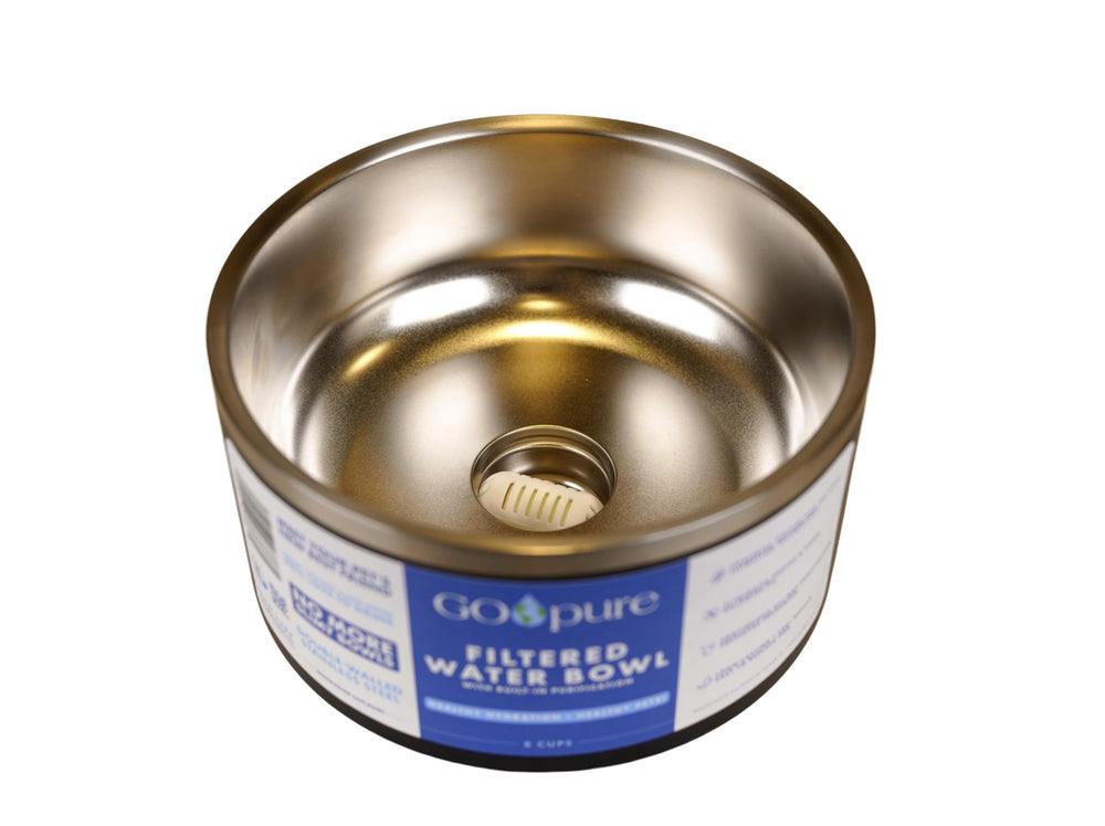 Auto-ship subscription for filter replacements