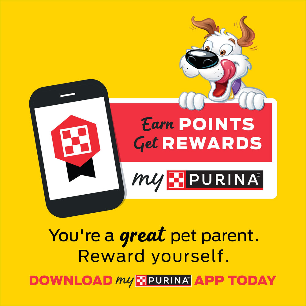 Purina Beggin' Flavor Stix ingredients highlight no artificial flavors