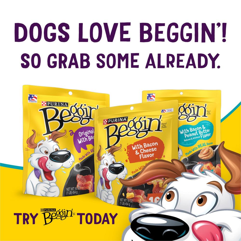 Purina Beggin' Flavor Stix snack time scene highlighting two flavor chews