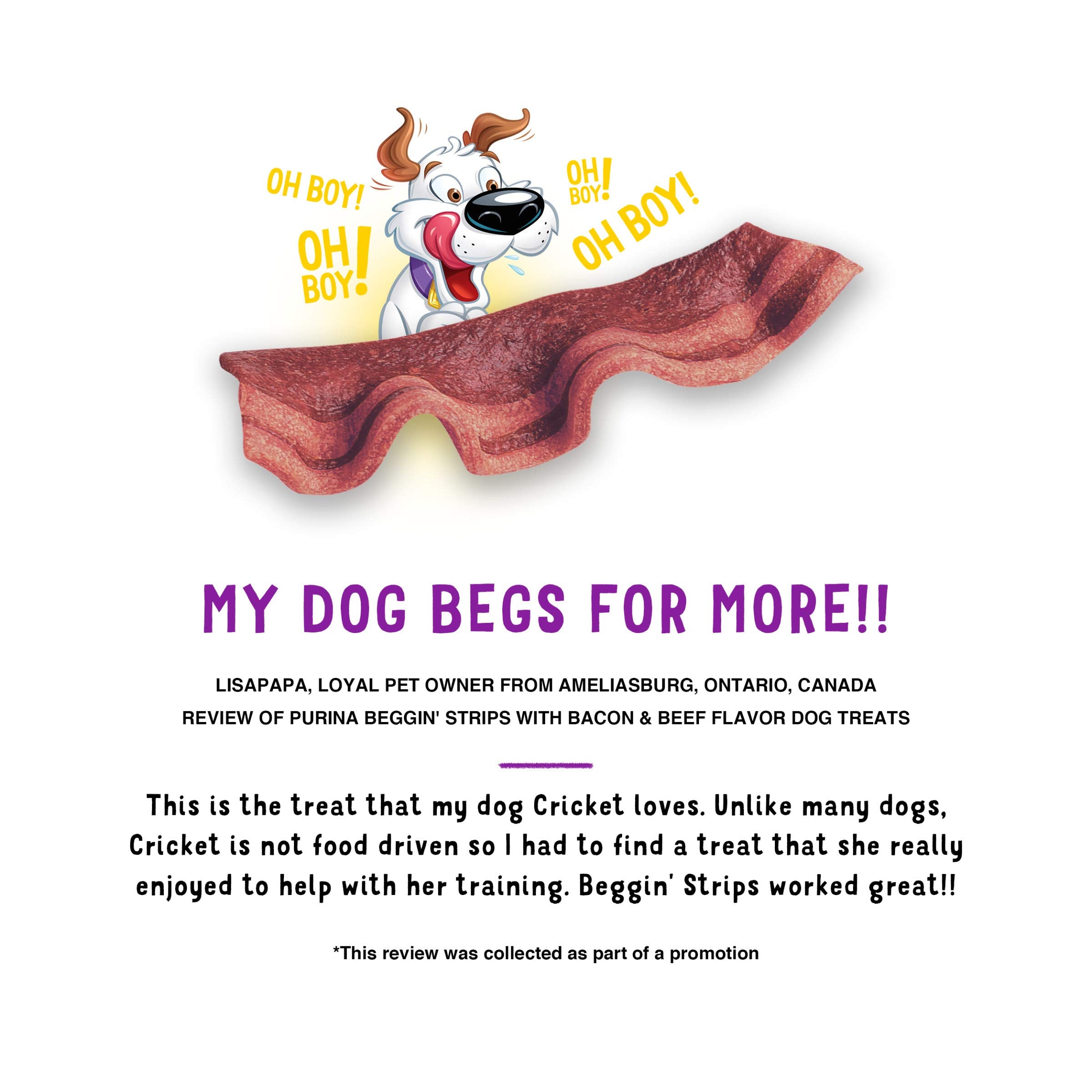 Purina Beggin' Strips real bacon-beef bites, ideal for training reinforcement.
