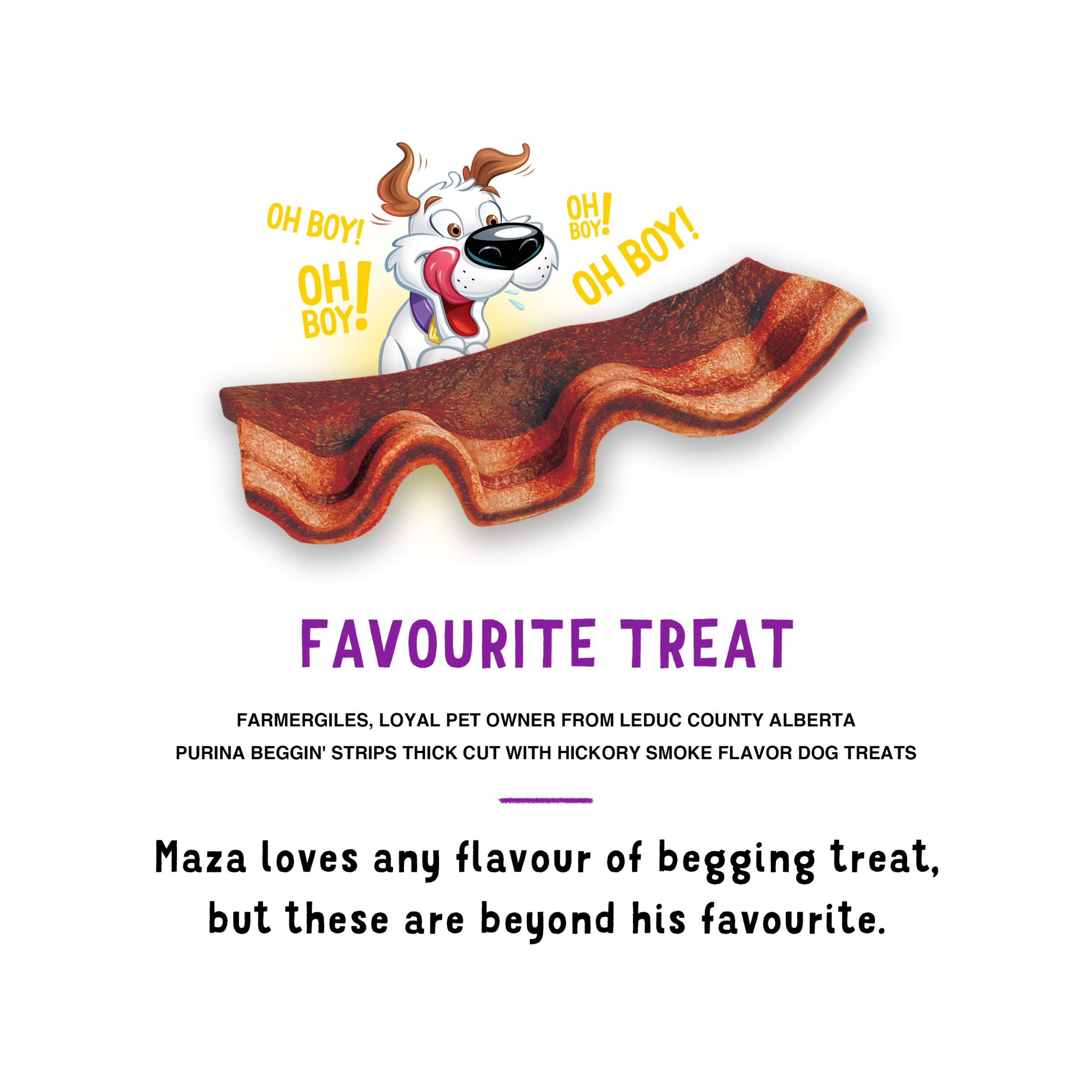 Purina Beggin' Strips two-pack pouches for convenient freshness