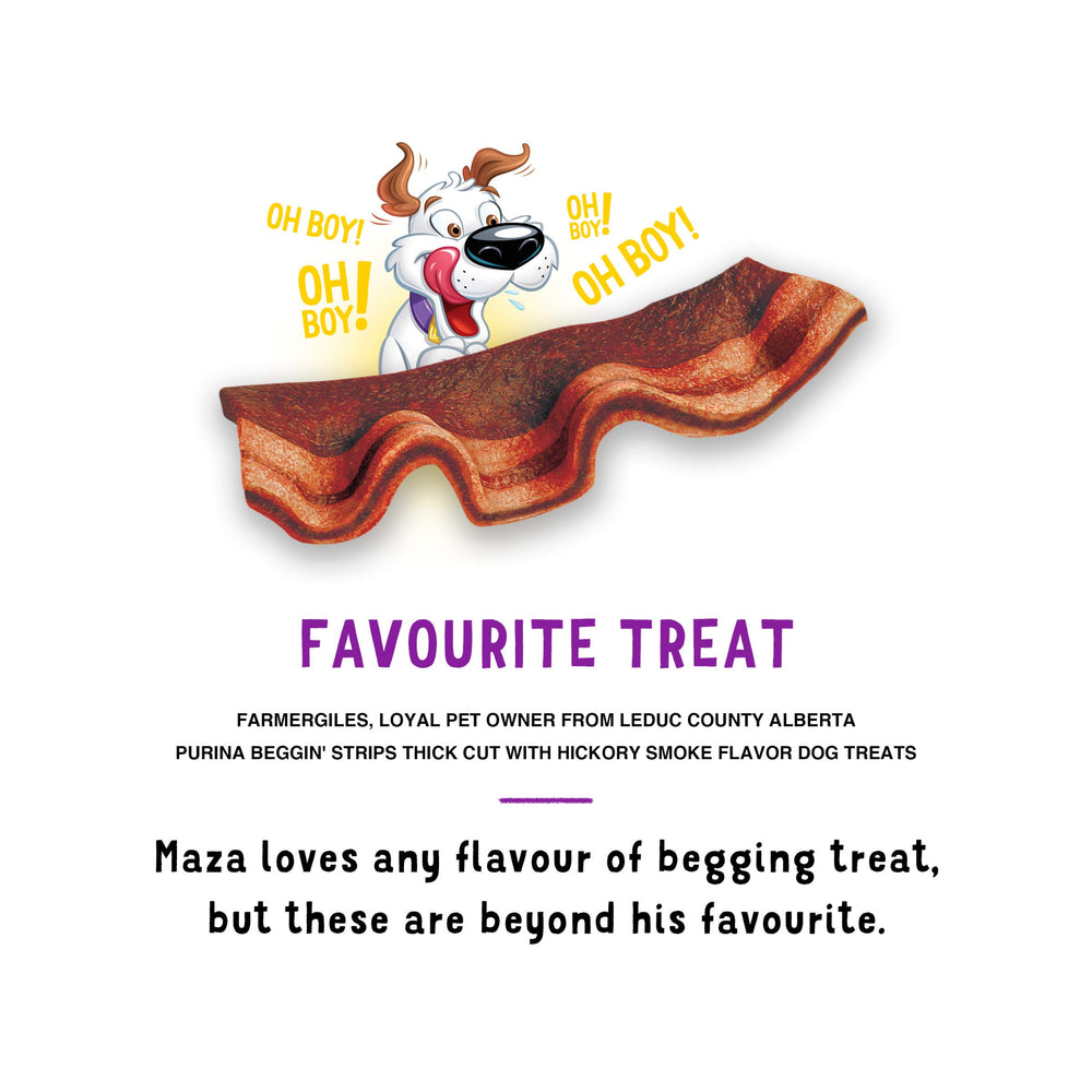 Purina Beggin' Strips two-pack pouches for convenient freshness