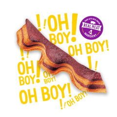Purina Beggin' Strips real meat bacon-cheese flavor treats with irresistible aroma.