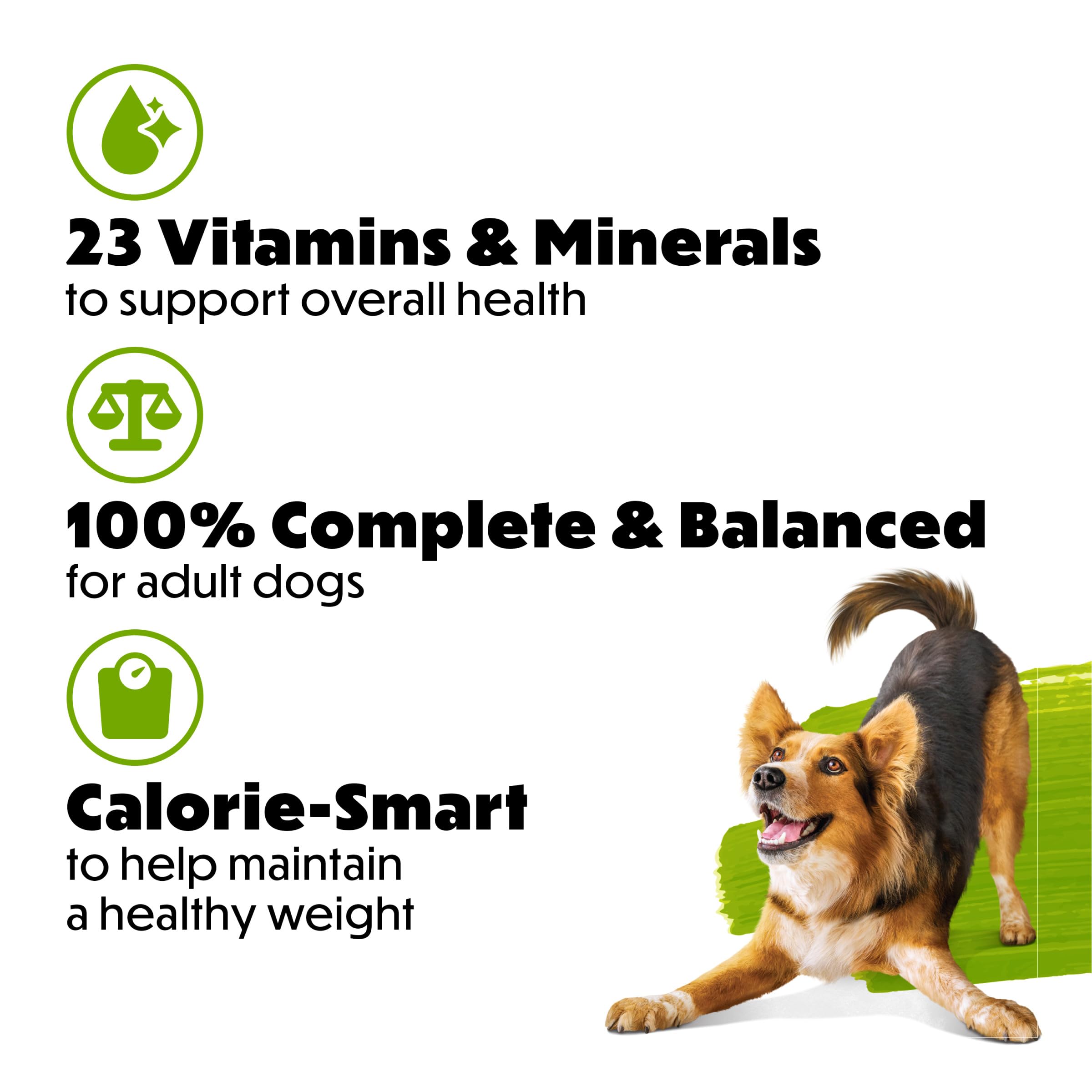 Purina Beneful Healthy Weight kibble close-up showing protein-rich bites.