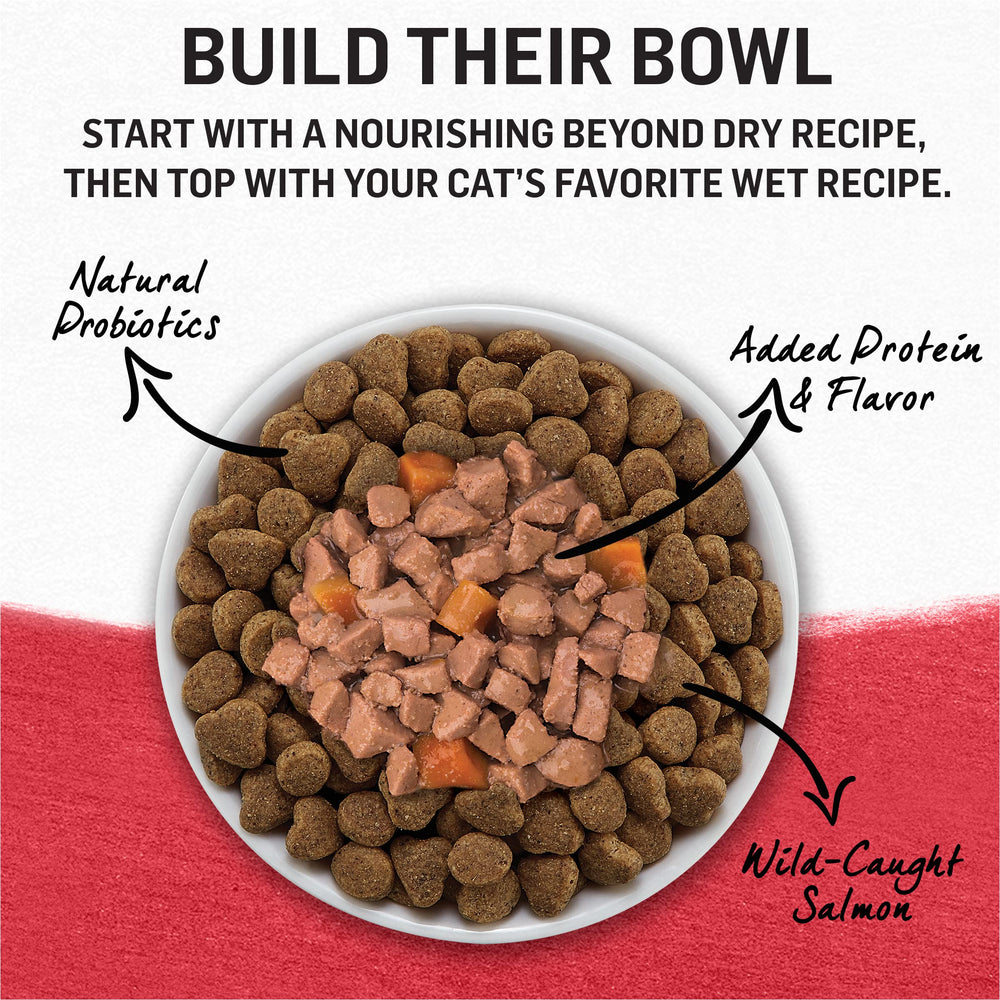 Purina Beyond variety-pack display showcasing 2x12 pack