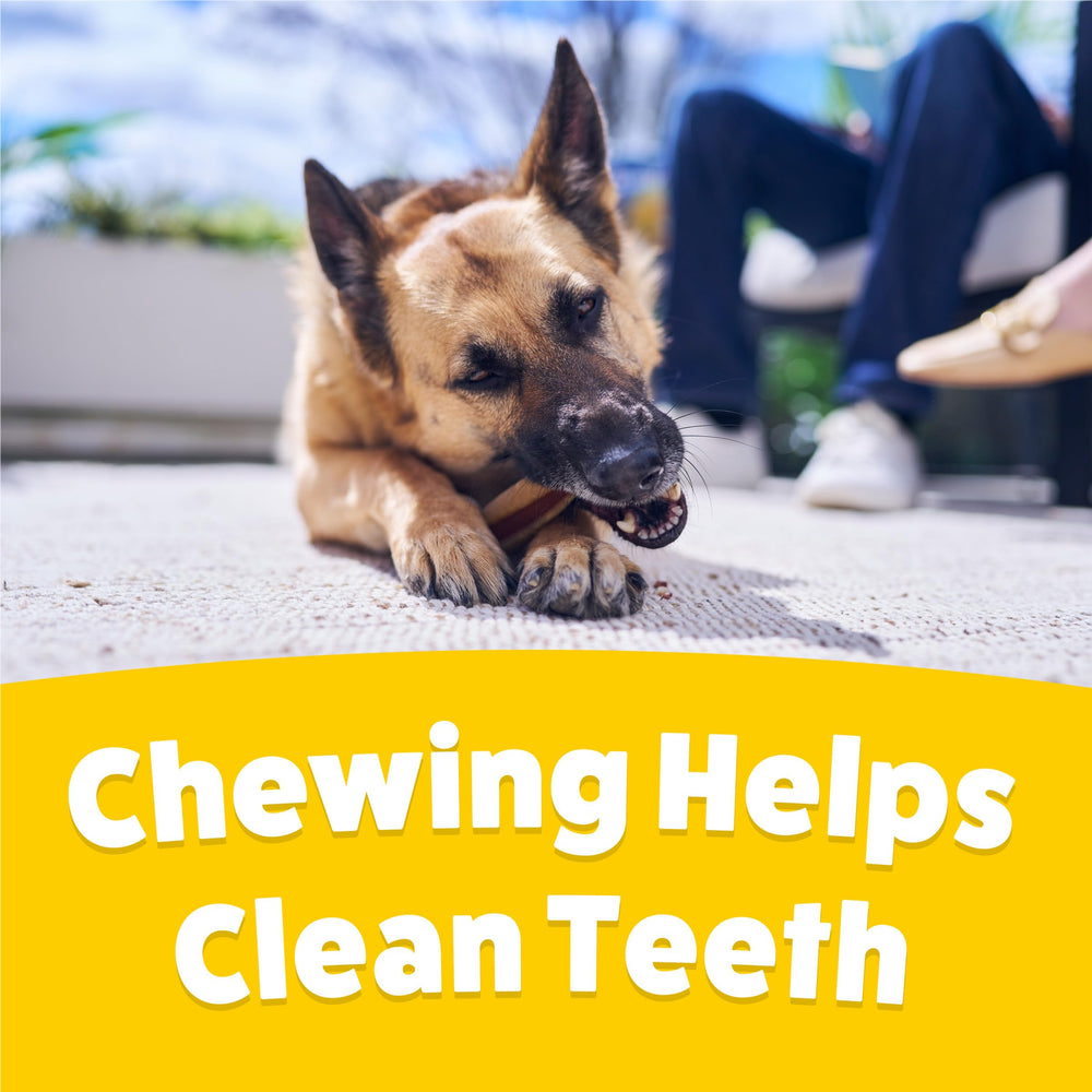 Purina Busy Beggin' Twist'd bacon twist chew for satisfying dog treats