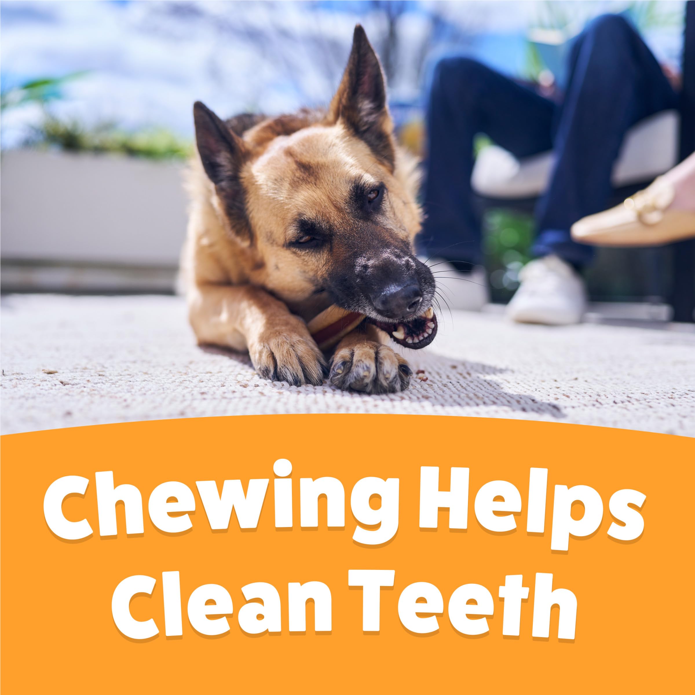 Purina Busy Beggin’ Twist’d non-rawhide claim highlighted on packaging.