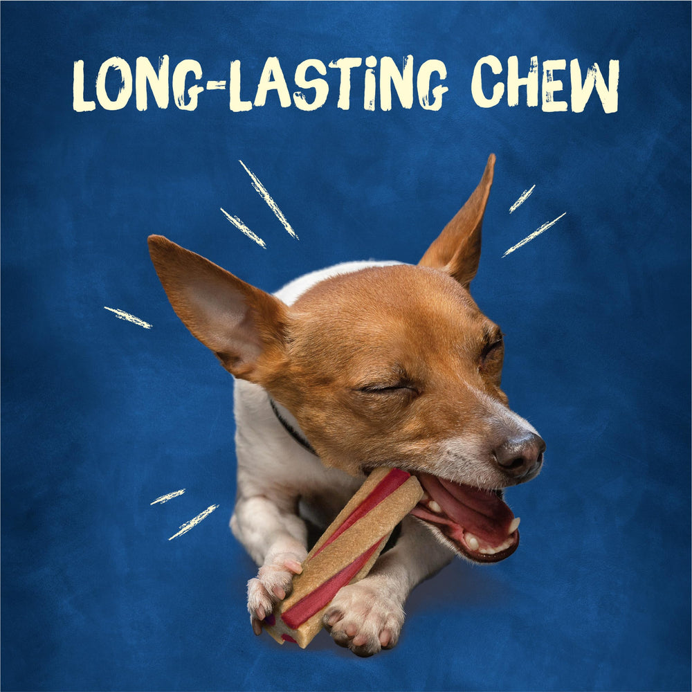 Purina Busy Beggin’ Twist’d rawhide-free badge signals safe, digestible snacking.