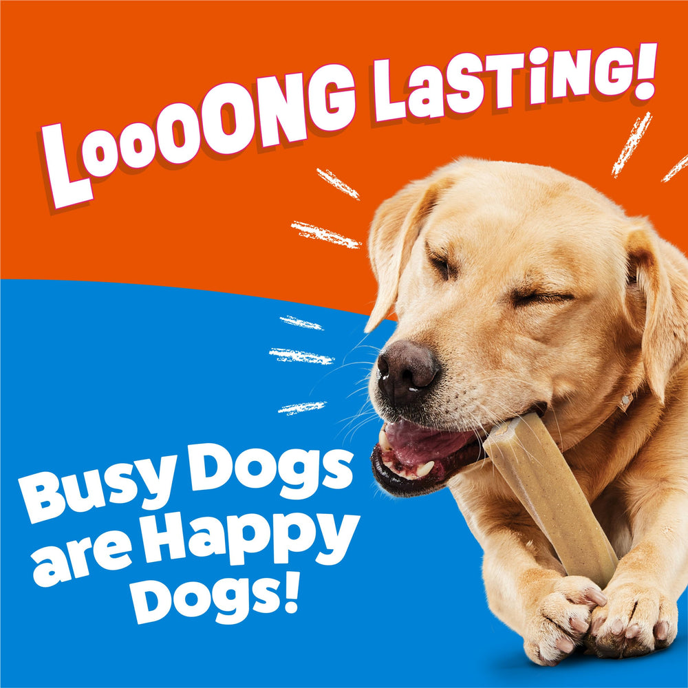 Purina Busy Bone dual-texture close-up emphasizes hard shell and tender center