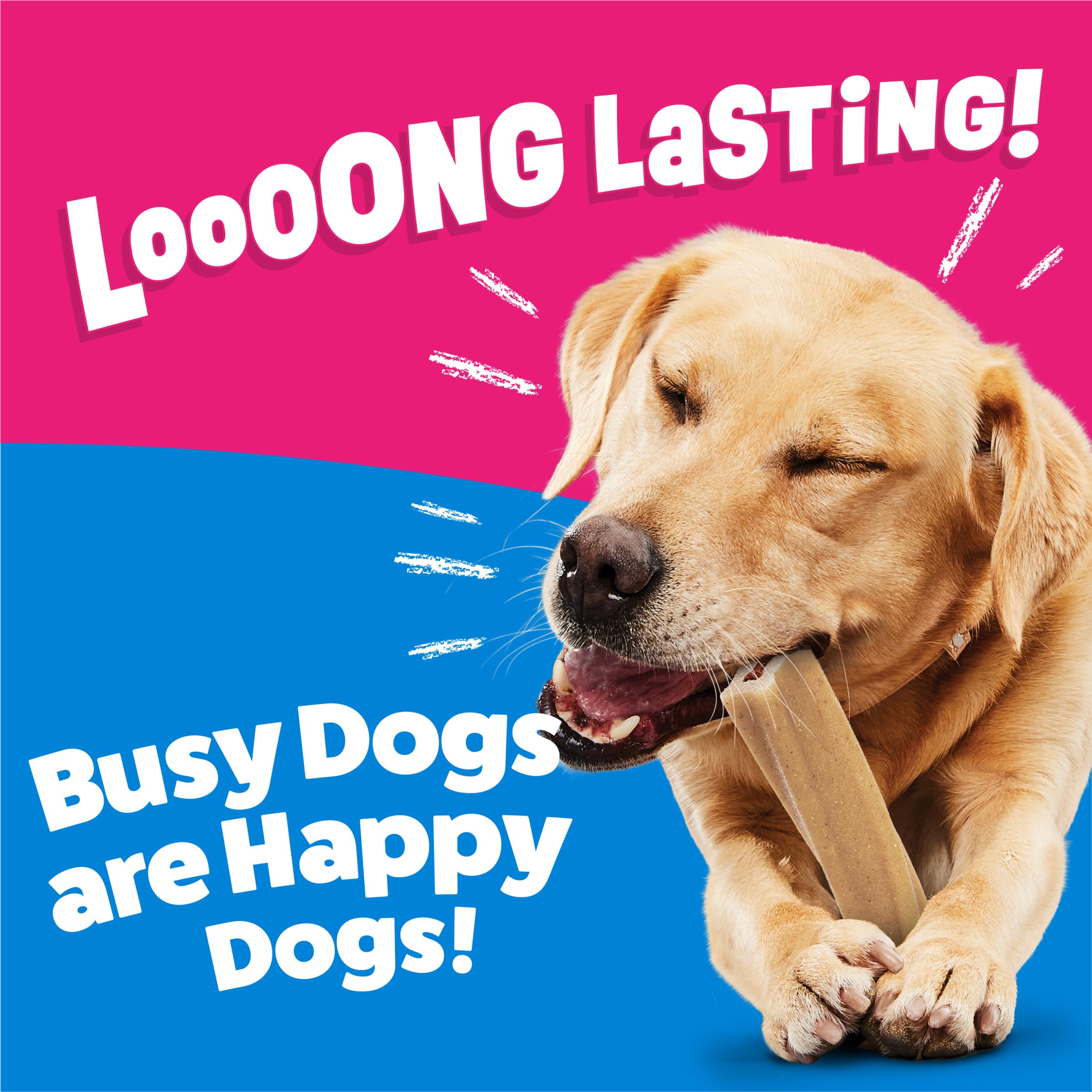 Purina Busy Bone Original long-lasting chew texture supports chewing