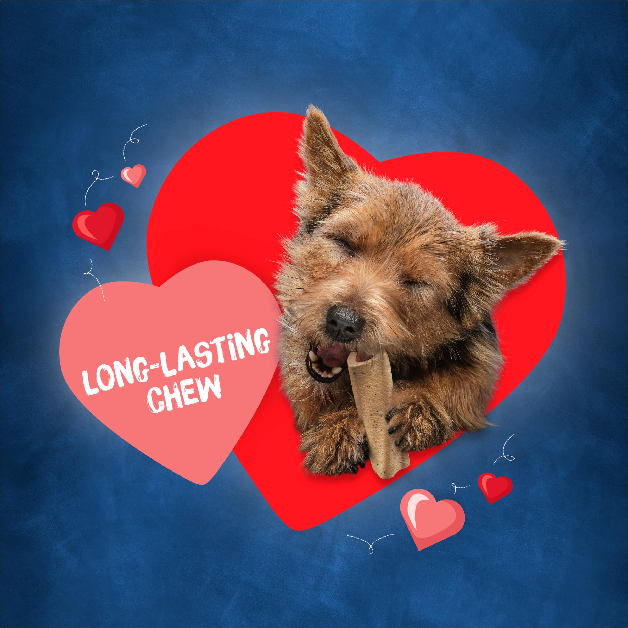 Purina Busy dog enjoying chew with savory center flavor