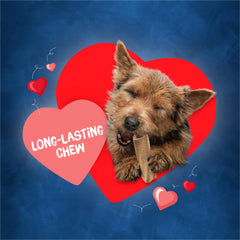 Purina Busy dog enjoying chew with savory center flavor