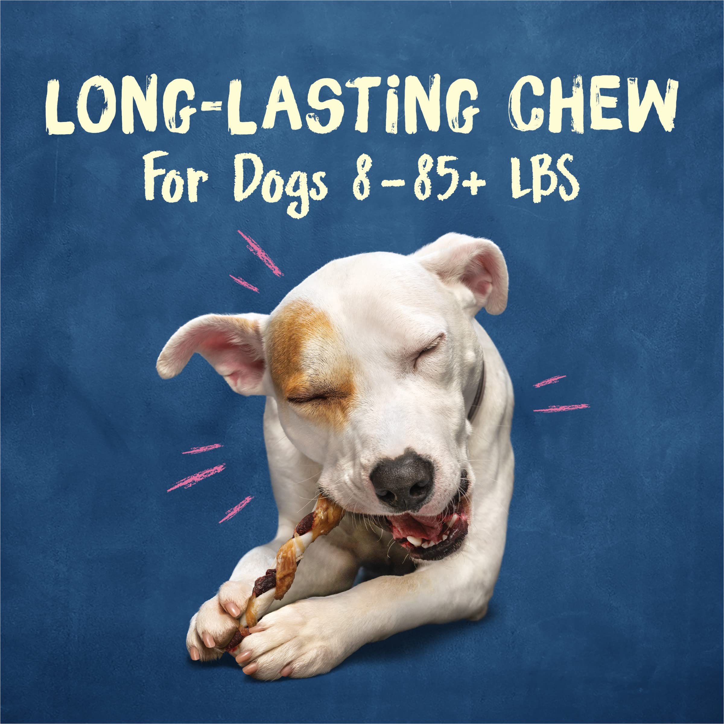 Purina Busy long-lasting chews designed for extended chew sessions