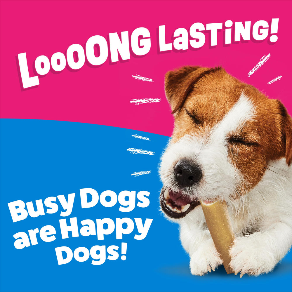 Purina Busy mini bone teeth-cleaning texture delivers a long-lasting chew engagement for small dogs