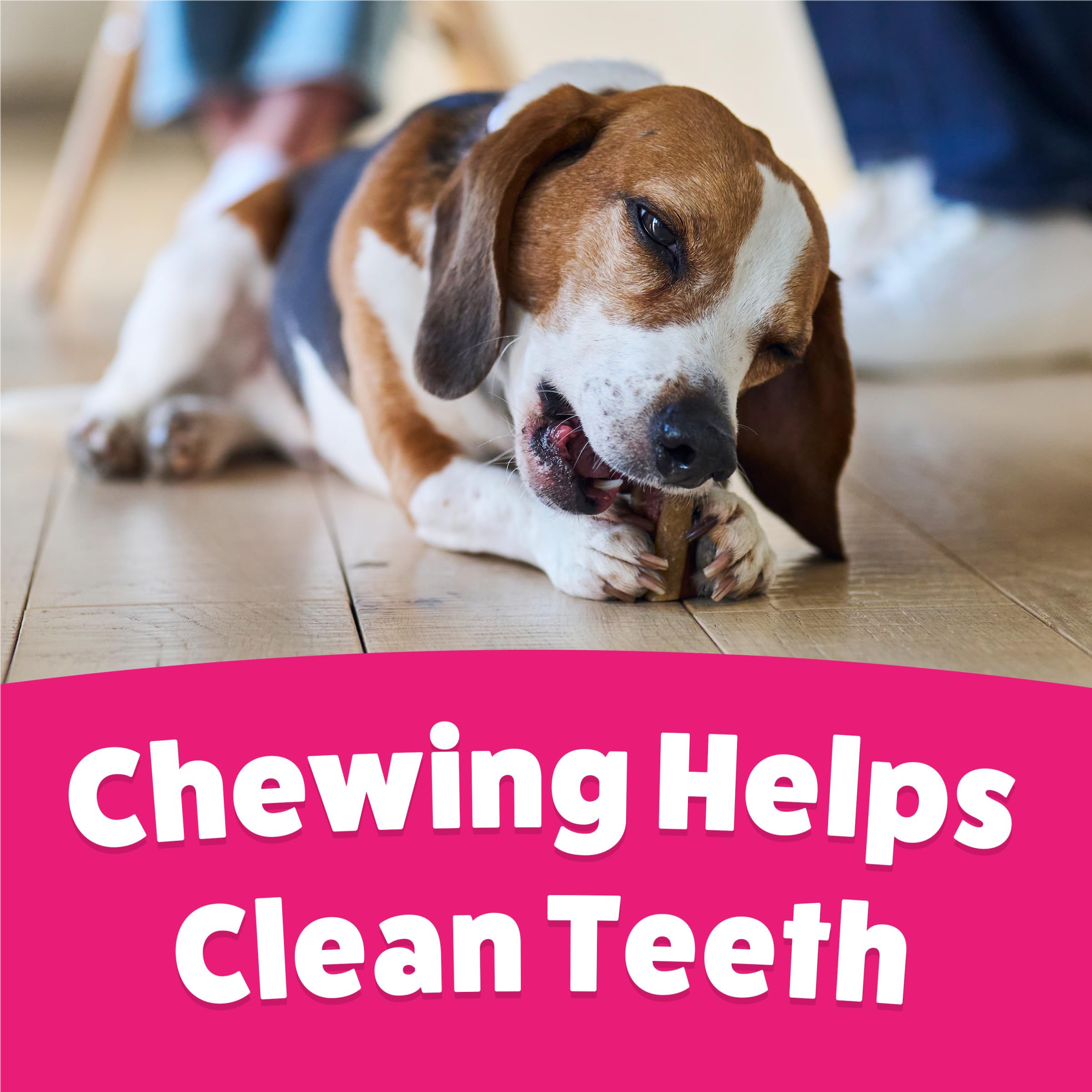 Purina Busy mini bone visual reward with a unique shape enhances the chew experience