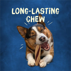 Purina Busy Twist'd dog chewing a long-lasting chew in action.