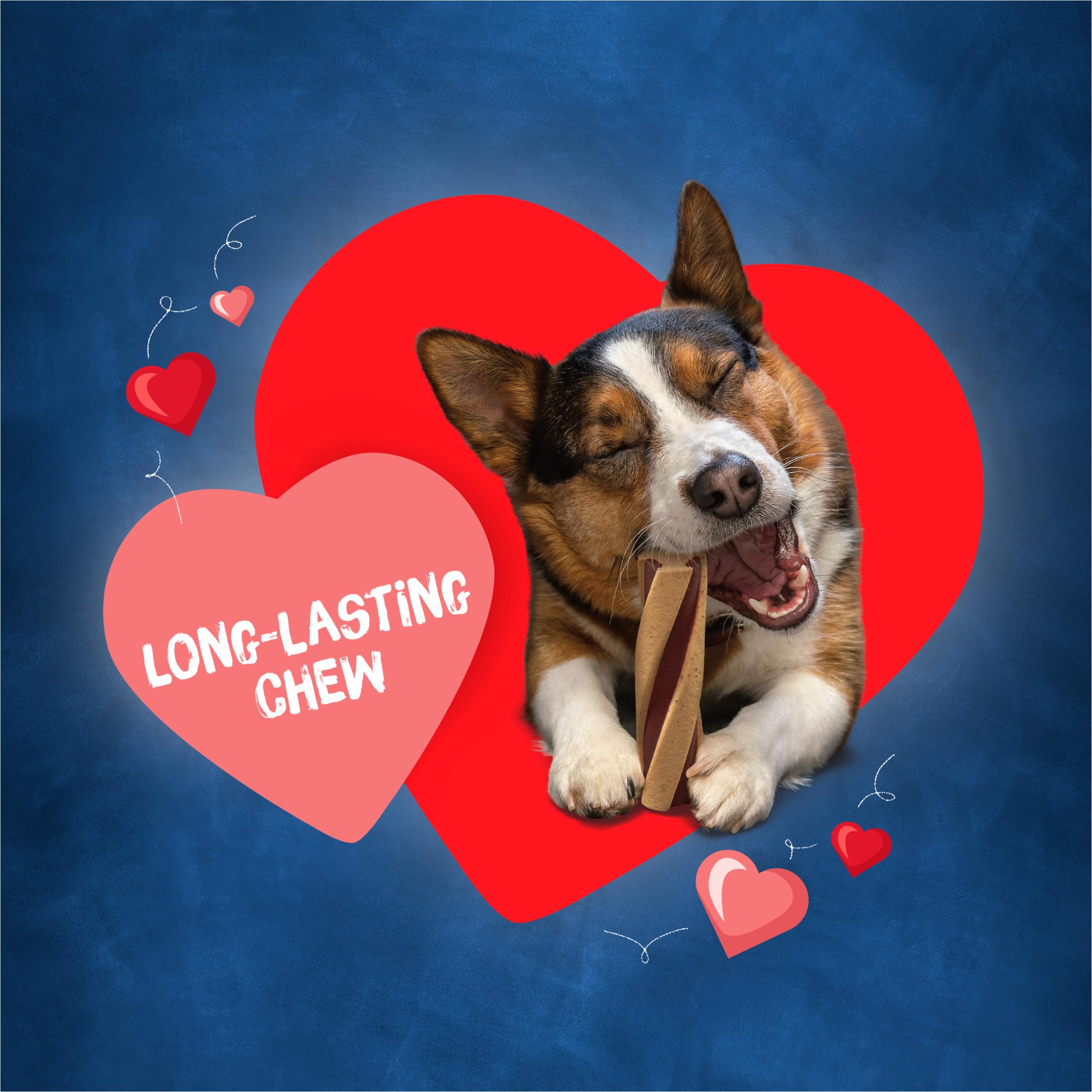 Purina Busy Twist'd pouch open releasing bacon aroma for dogs.