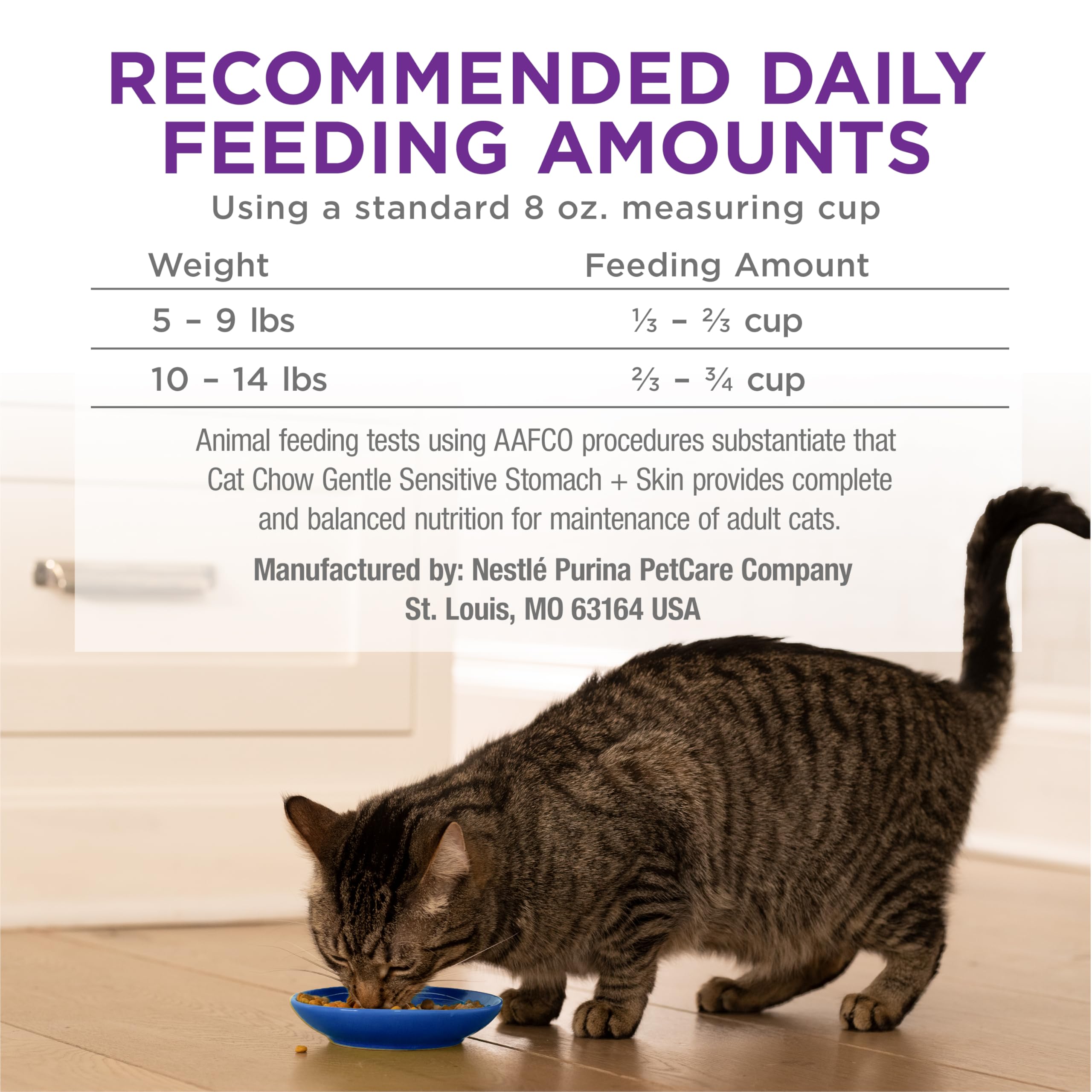 Purina Cat Chow Gentle dry-food setup; accessible feeding area.