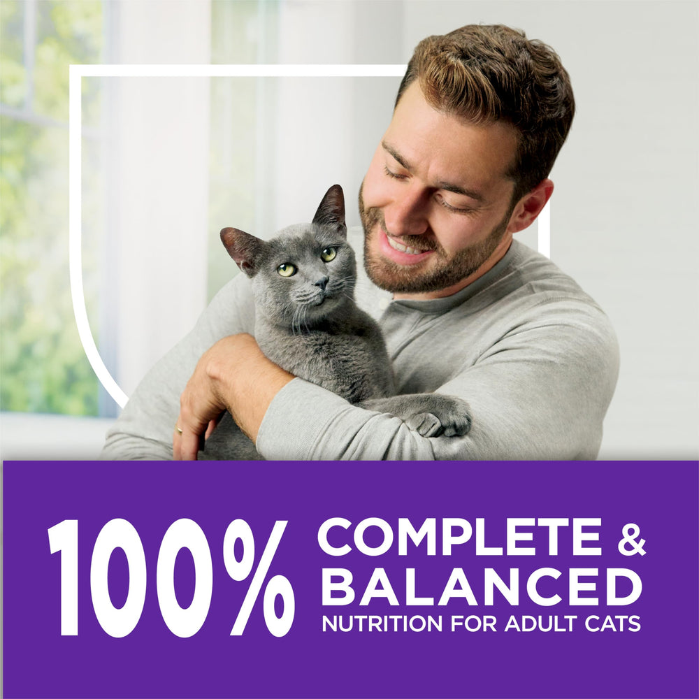 Purina Cat Chow Gentle natural prebiotic fiber badge; supports digestive comfort.