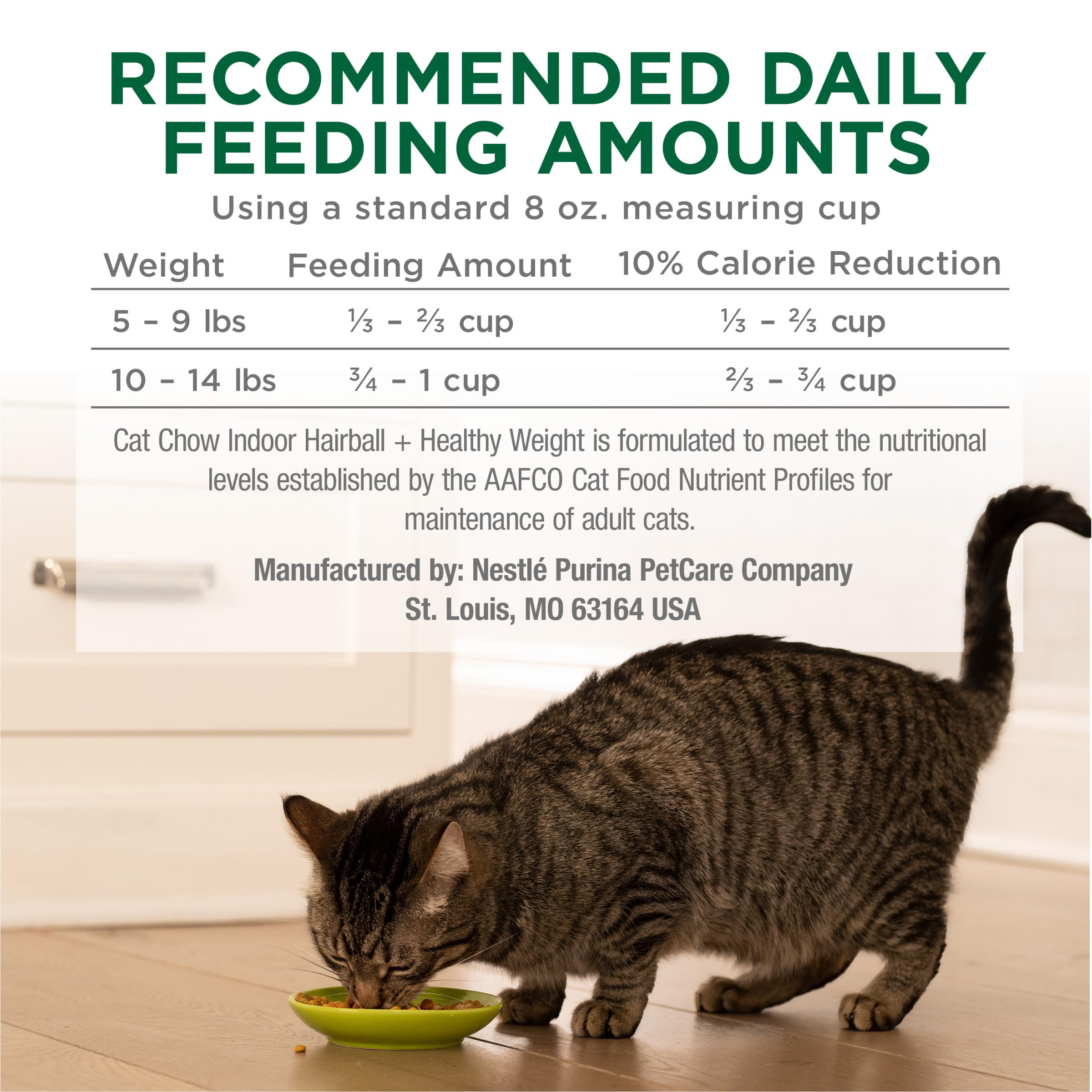 Purina Cat Chow indoor lifestyle image for indoor cat routine