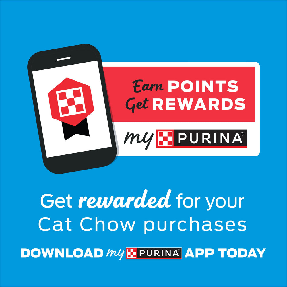 Purina Cat Chow Naturals Original no artificial flavors or preservatives claim