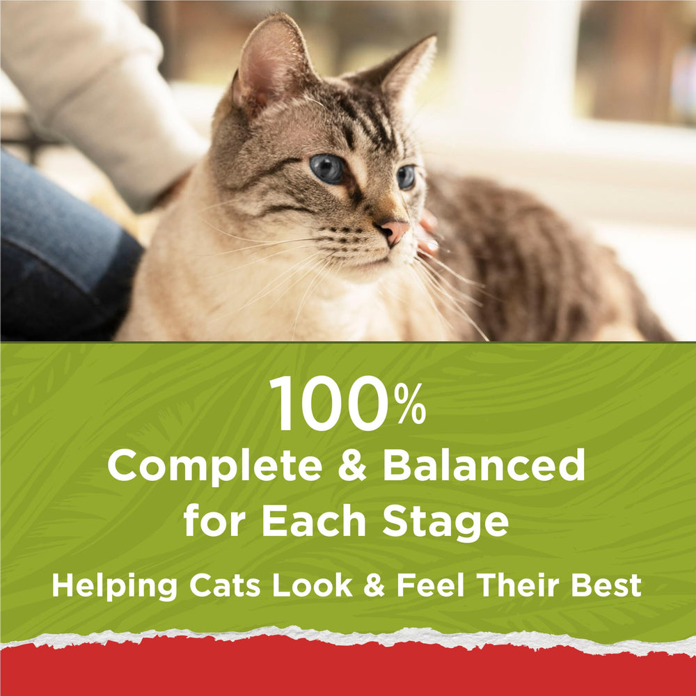 Purina Cat Chow Naturals Original omega-6 supports healthy skin and coat