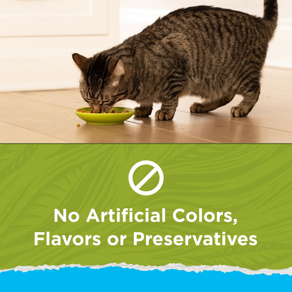 Purina Cat Chow Naturals Indoor real chicken and turkey ingredients close-up