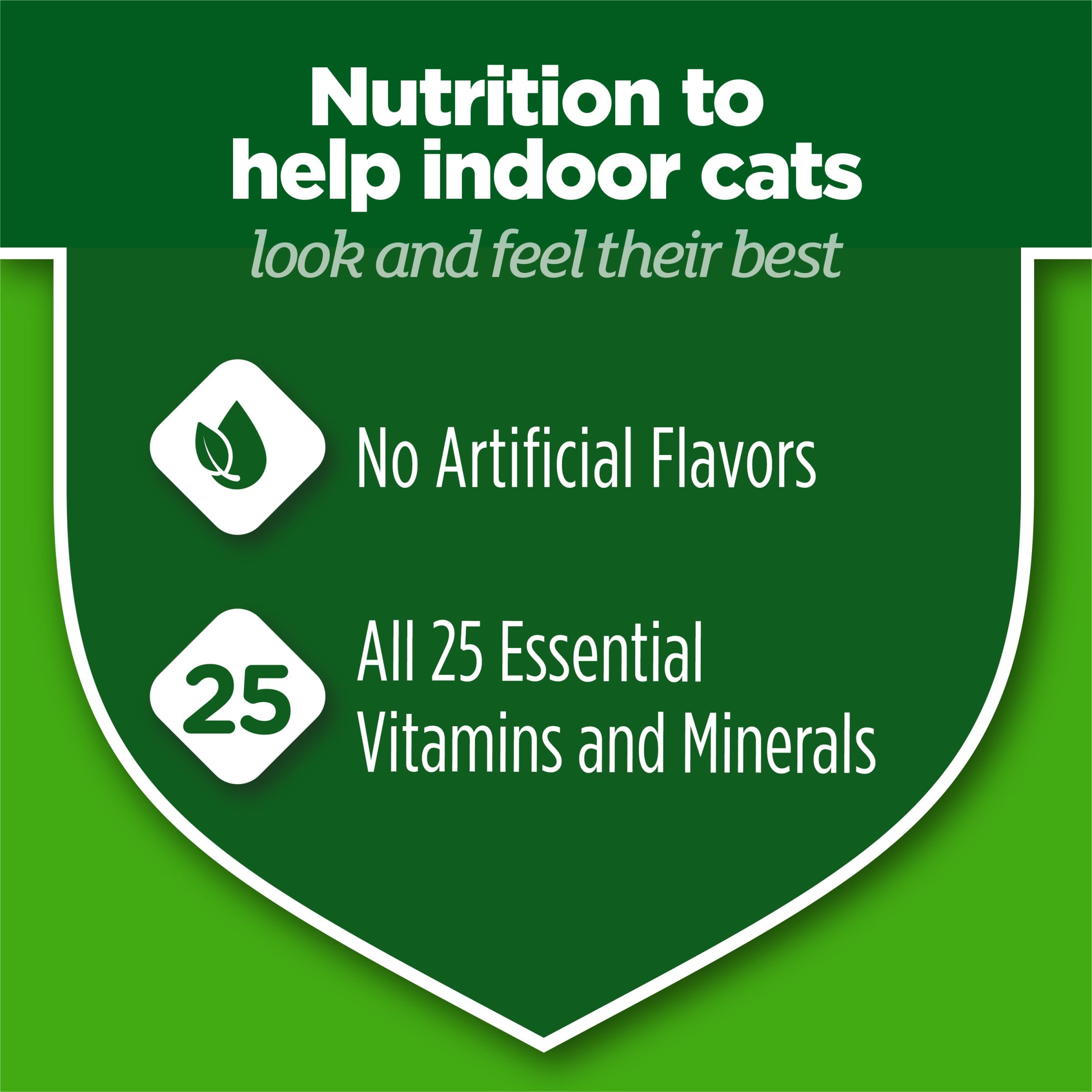 Purina Cat Chow pack of 4 bags display packaging and value