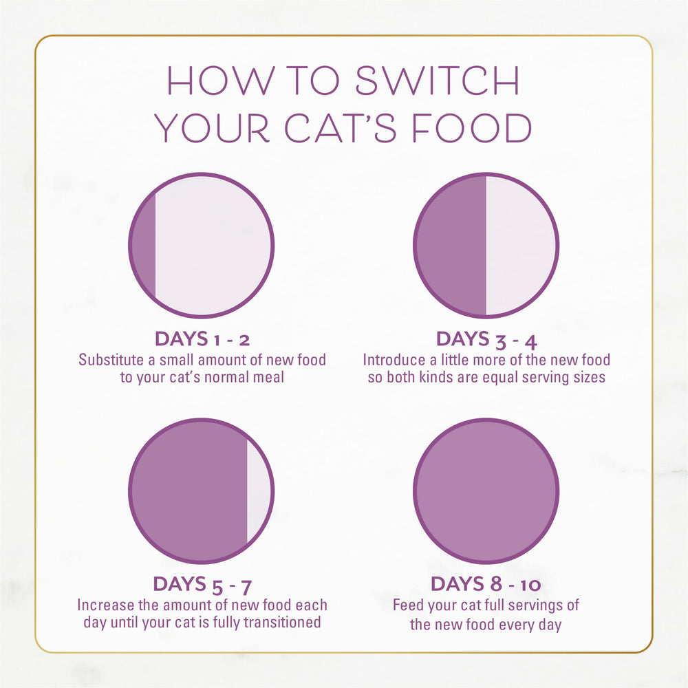 Crunchy, balanced Fancy Feast kibble for daily meals