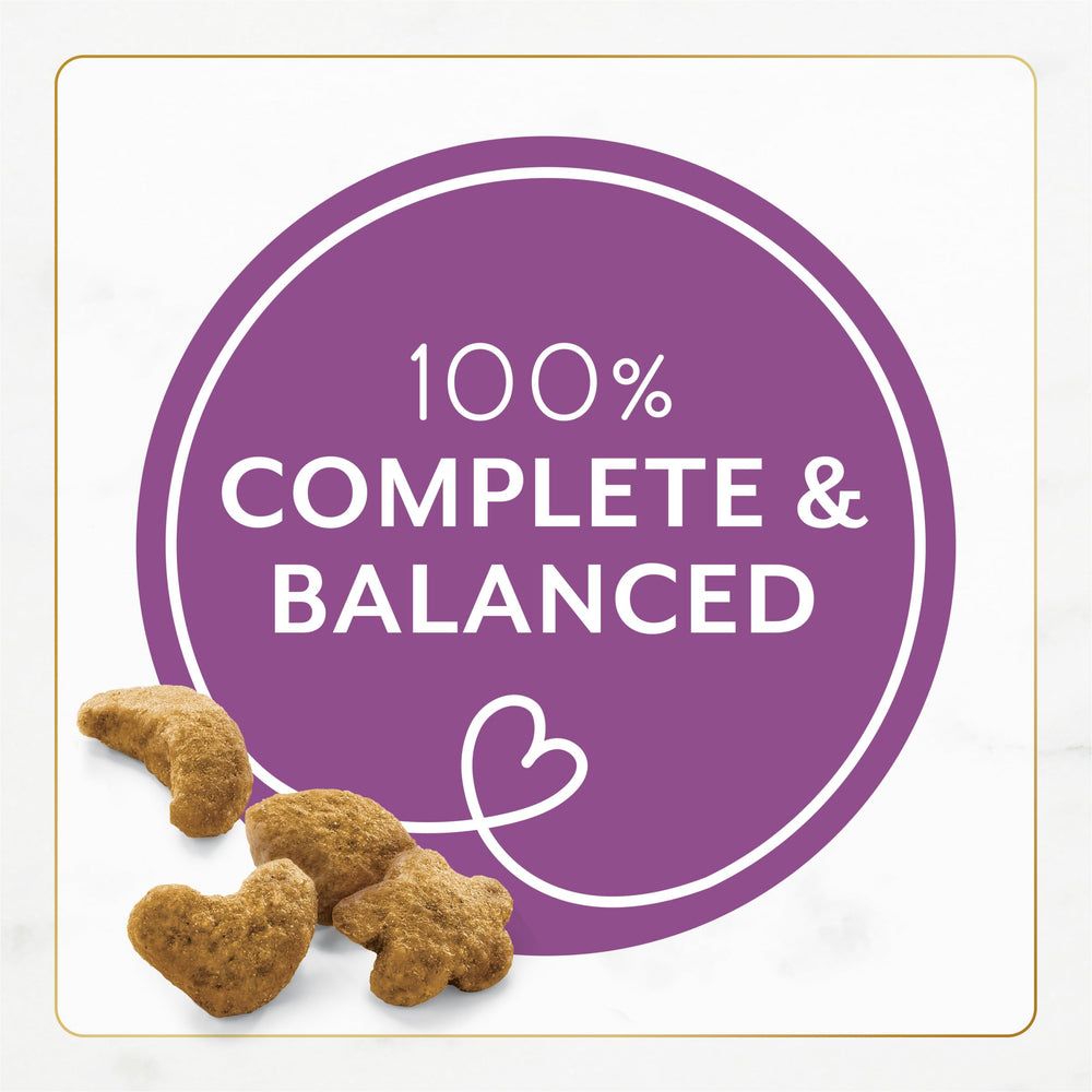 Crunchy morsels from Fancy Feast dry cat food for a satisfying bite