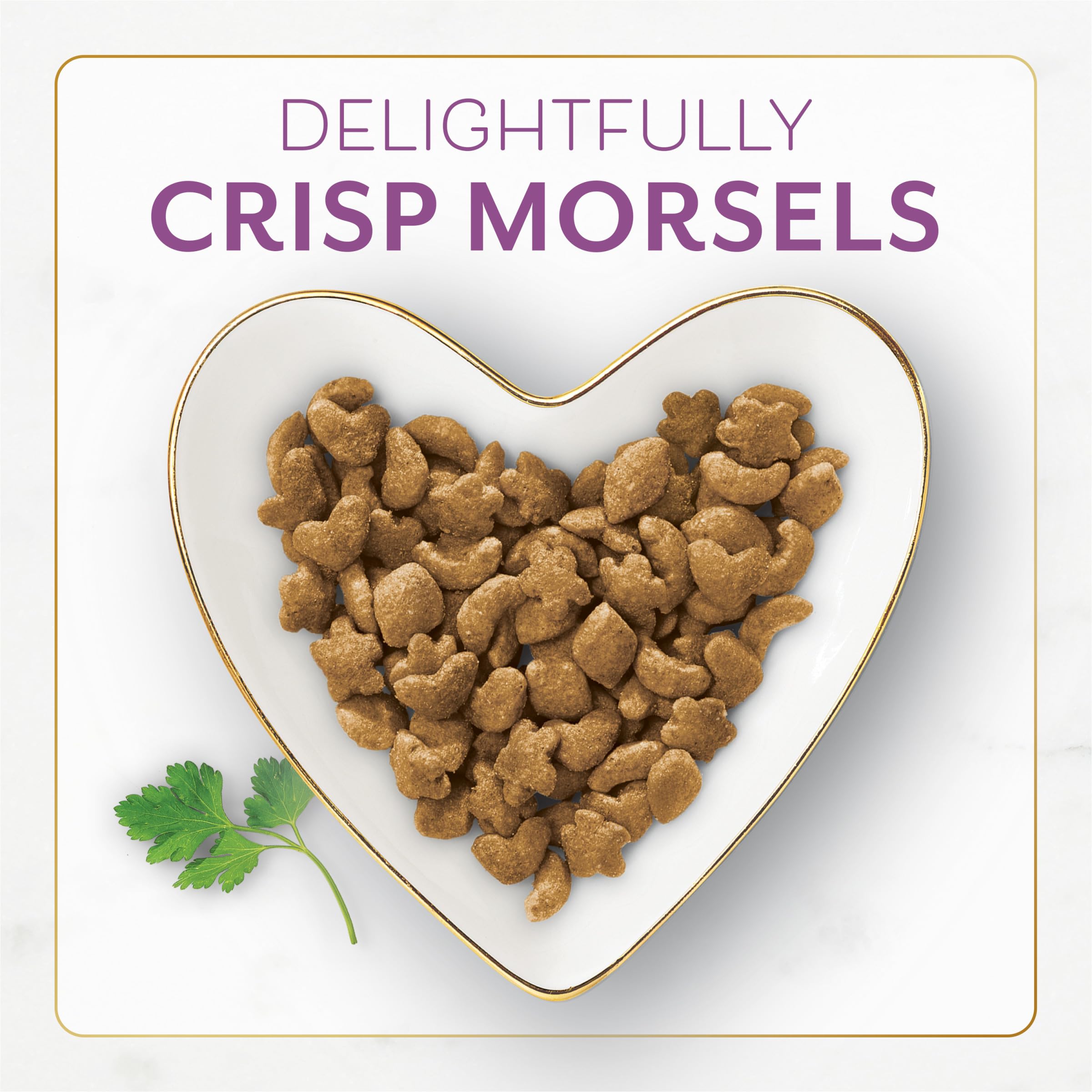 Fancy Feast real chicken and turkey kibble in a premium cat food blend
