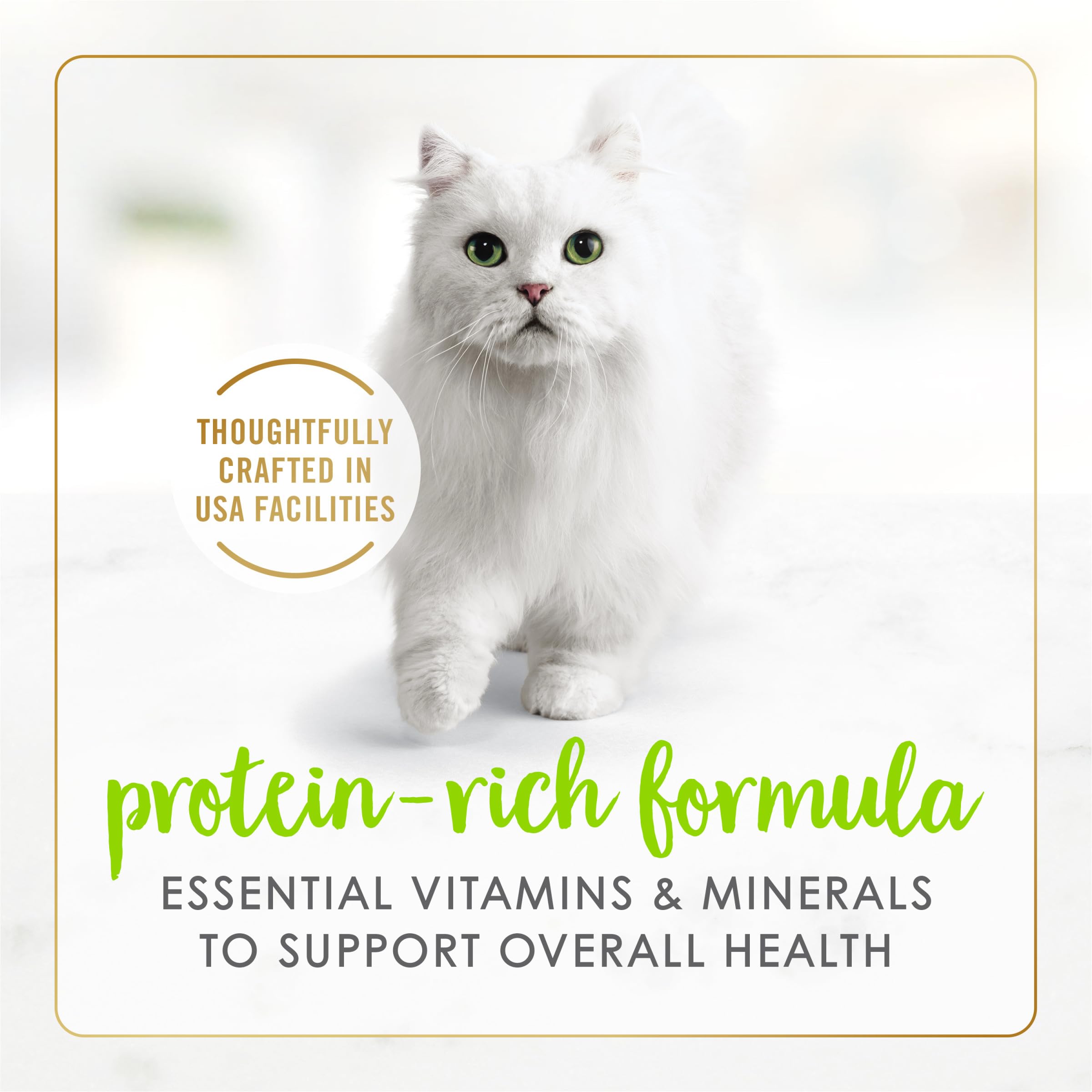 Purina Fancy Feast Salmon Gravy Pate texture emphasizes protein-rich options for adult cats.