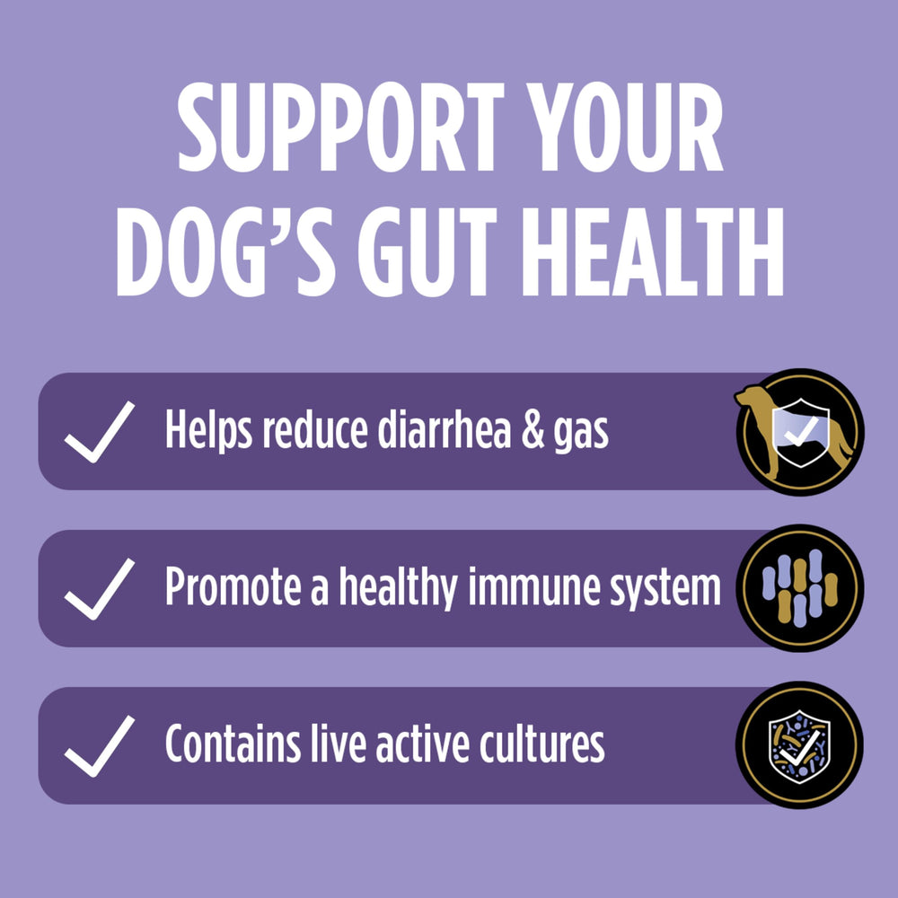 Purina FortiFlora being mixed with dog meals for gut balance.