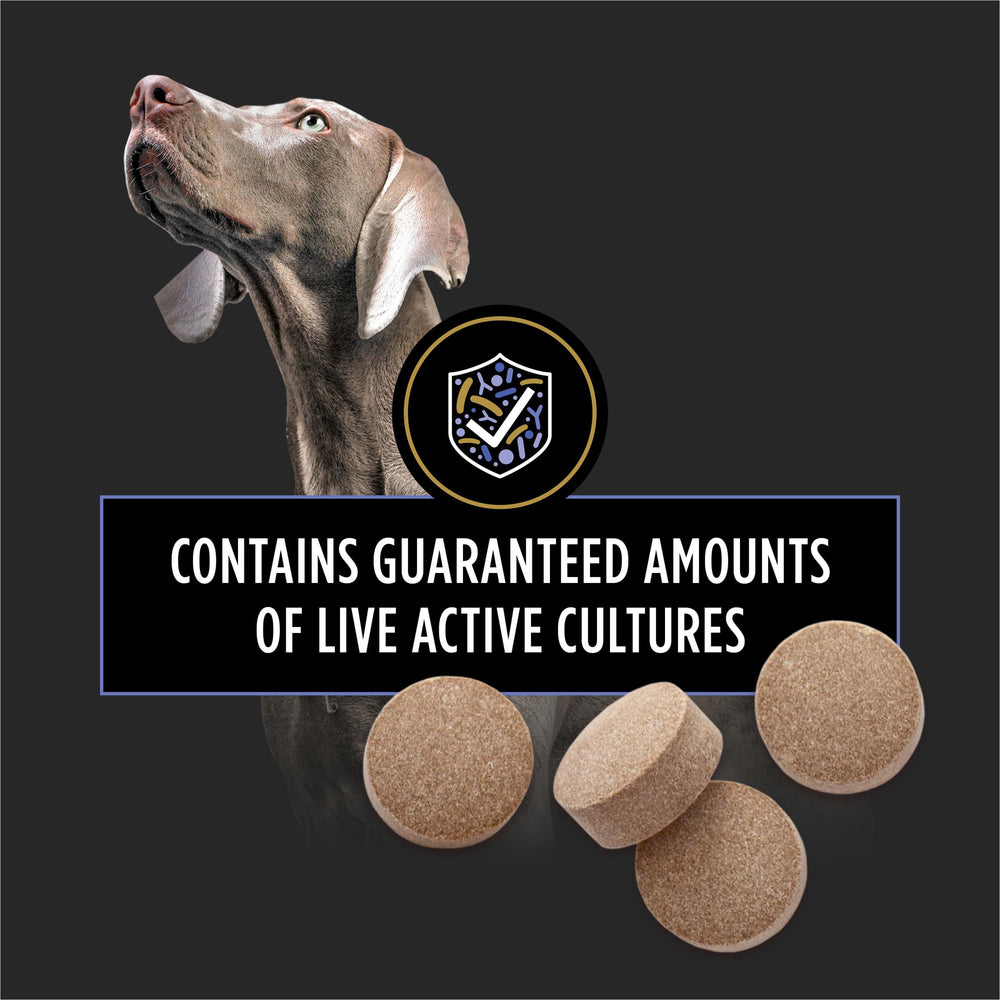 Purina FortiFlora tablets dispense image highlights simple daily dosing