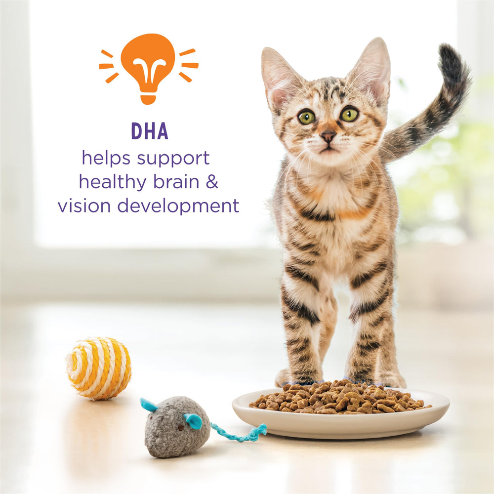 Purina Kitten Chow DHA supports brain and vision development.