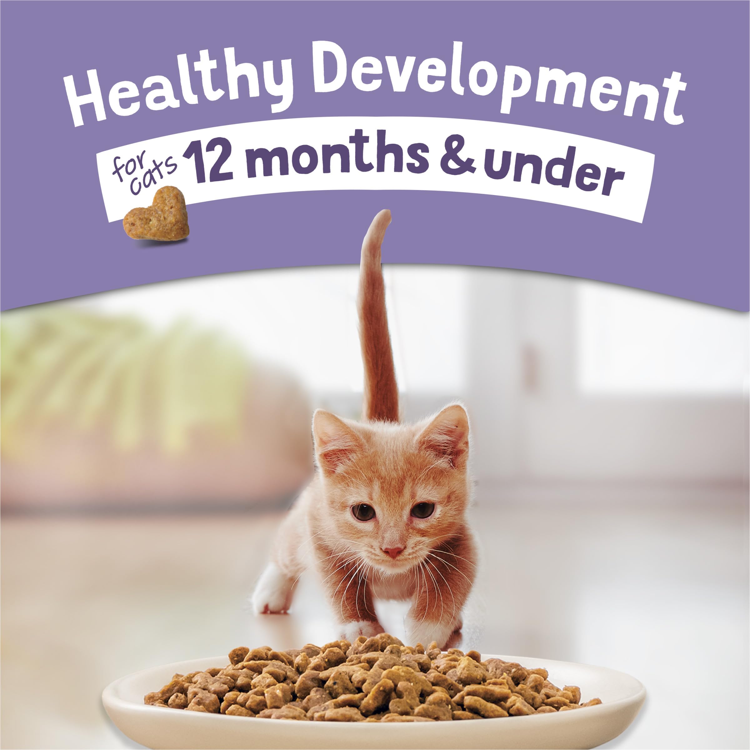 Purina Kitten Chow provides 25 percent more protein than leading adult food.