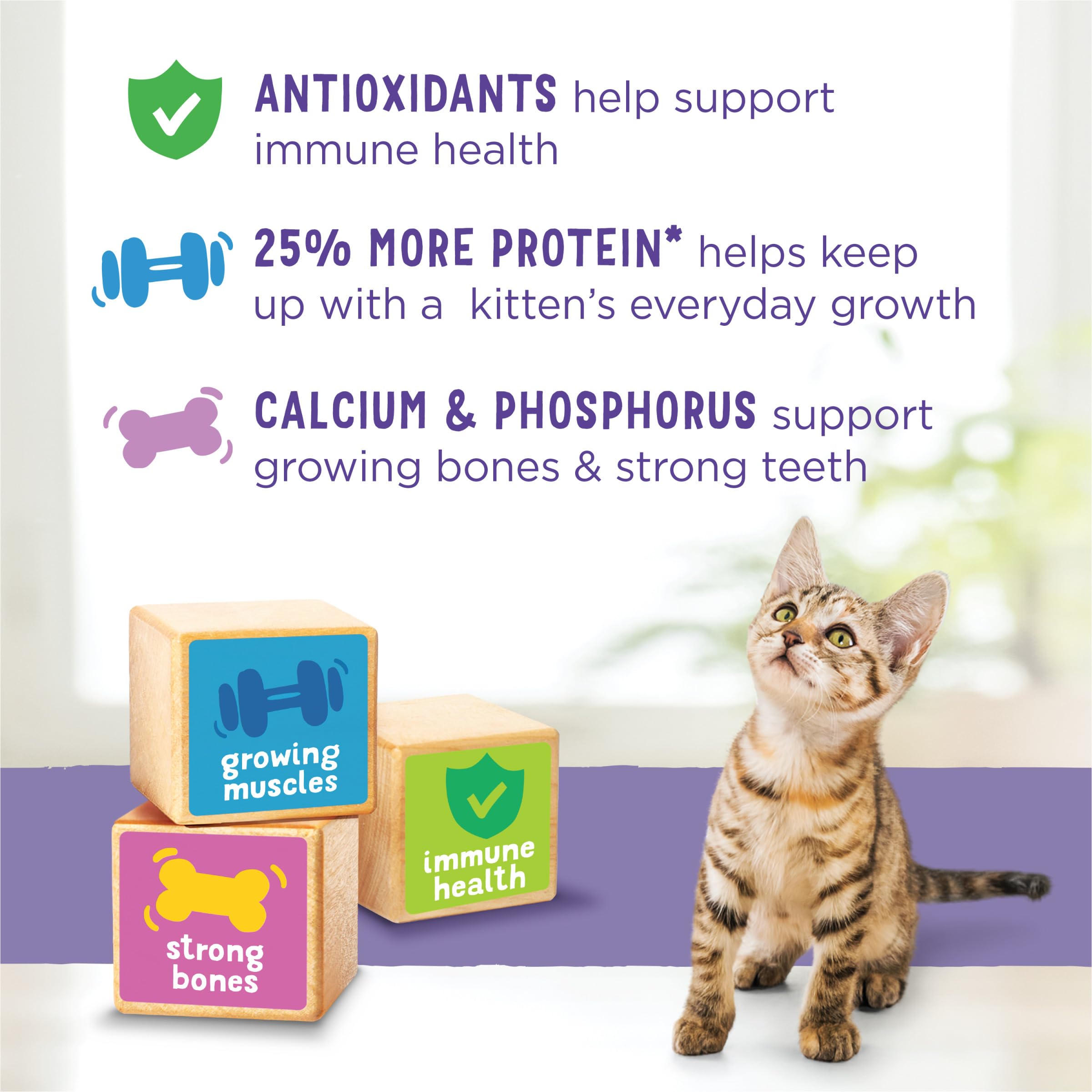 Purina Kitten Chow kibble texture close-up shows wholesome ingredients