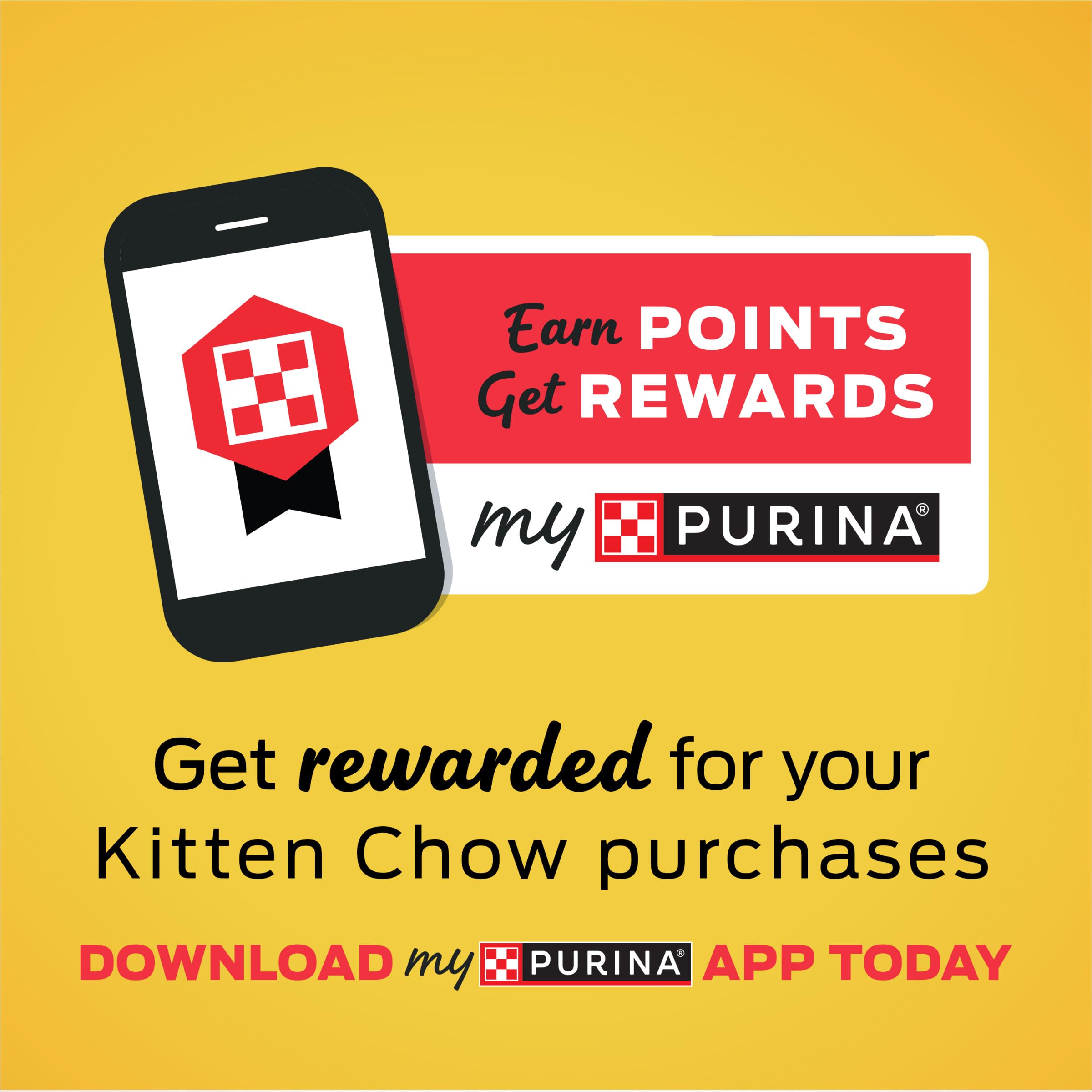 Purina Kitten Chow kittens playing scene suggests playful growth and energy
