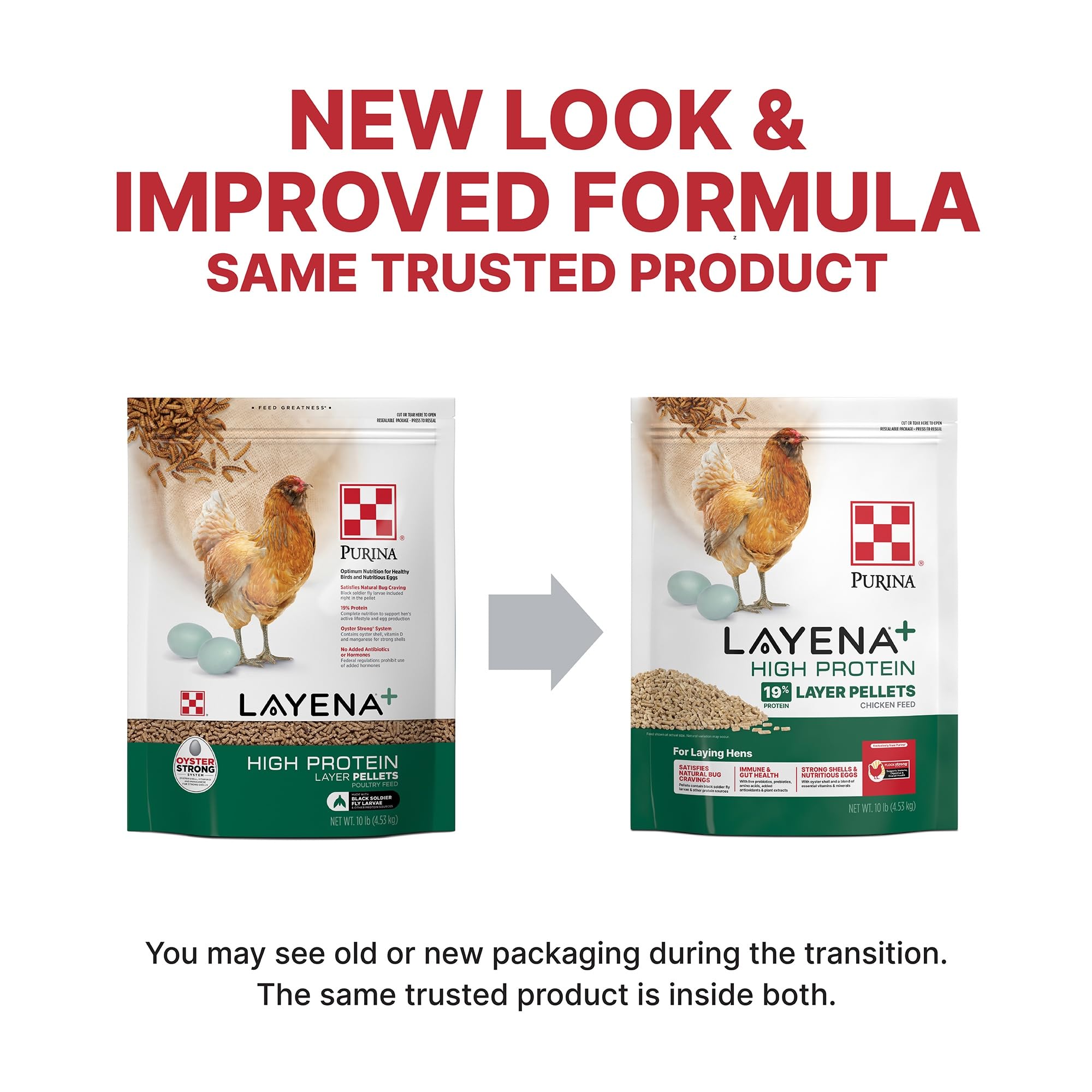 Purina Layena 10-pound bag front view supports convenient backyard feeding.