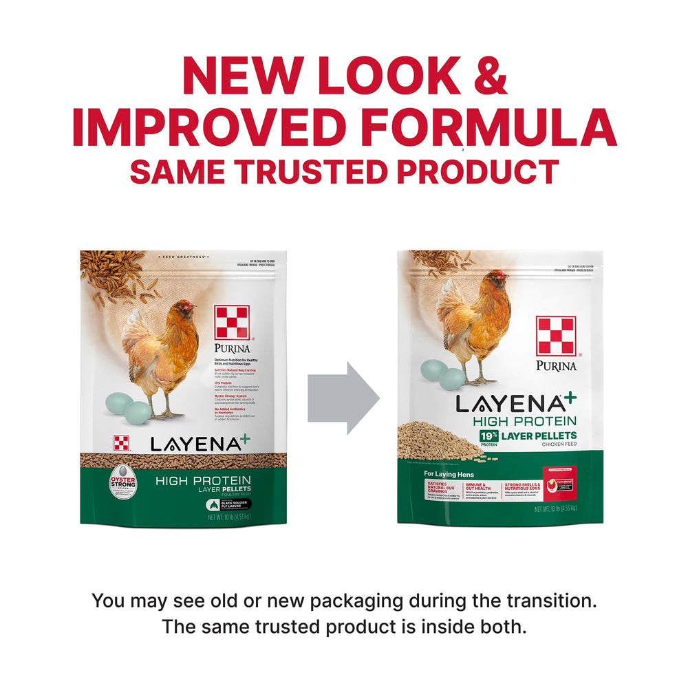 Purina Layena 10-pound bag front view supports convenient backyard feeding.