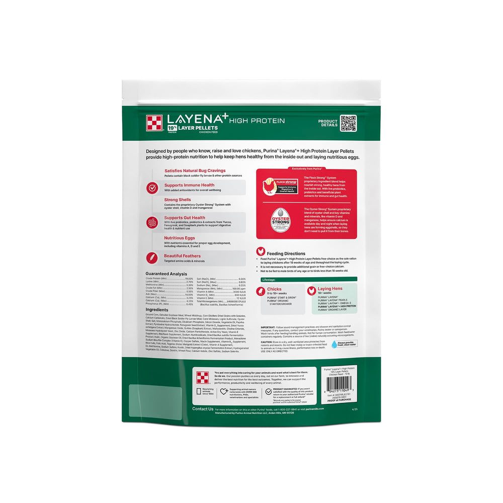 Purina Layena hens eating pellets supports steady energy for laying hens.
