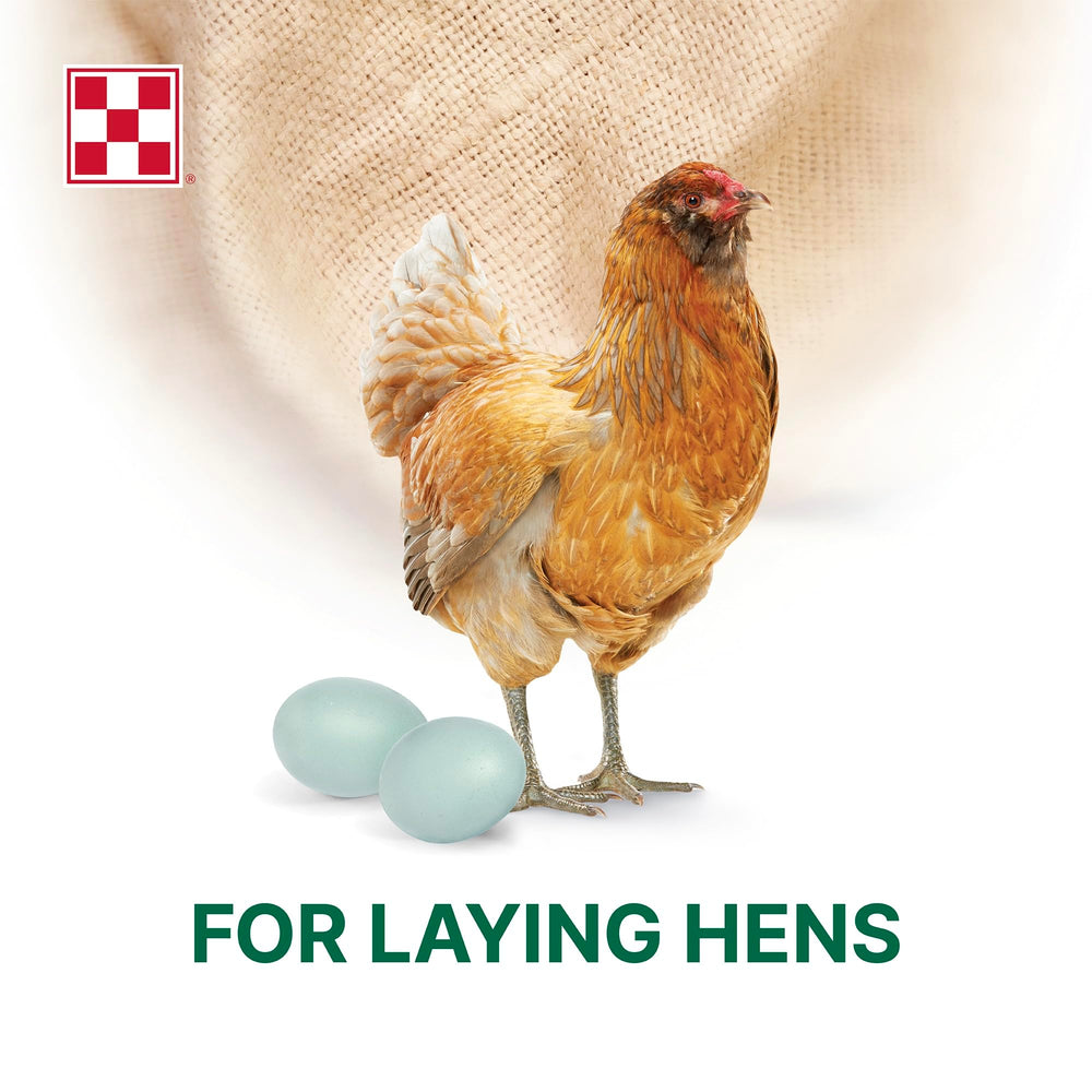 Purina Layena ingredient label highlights black soldier fly larvae content.